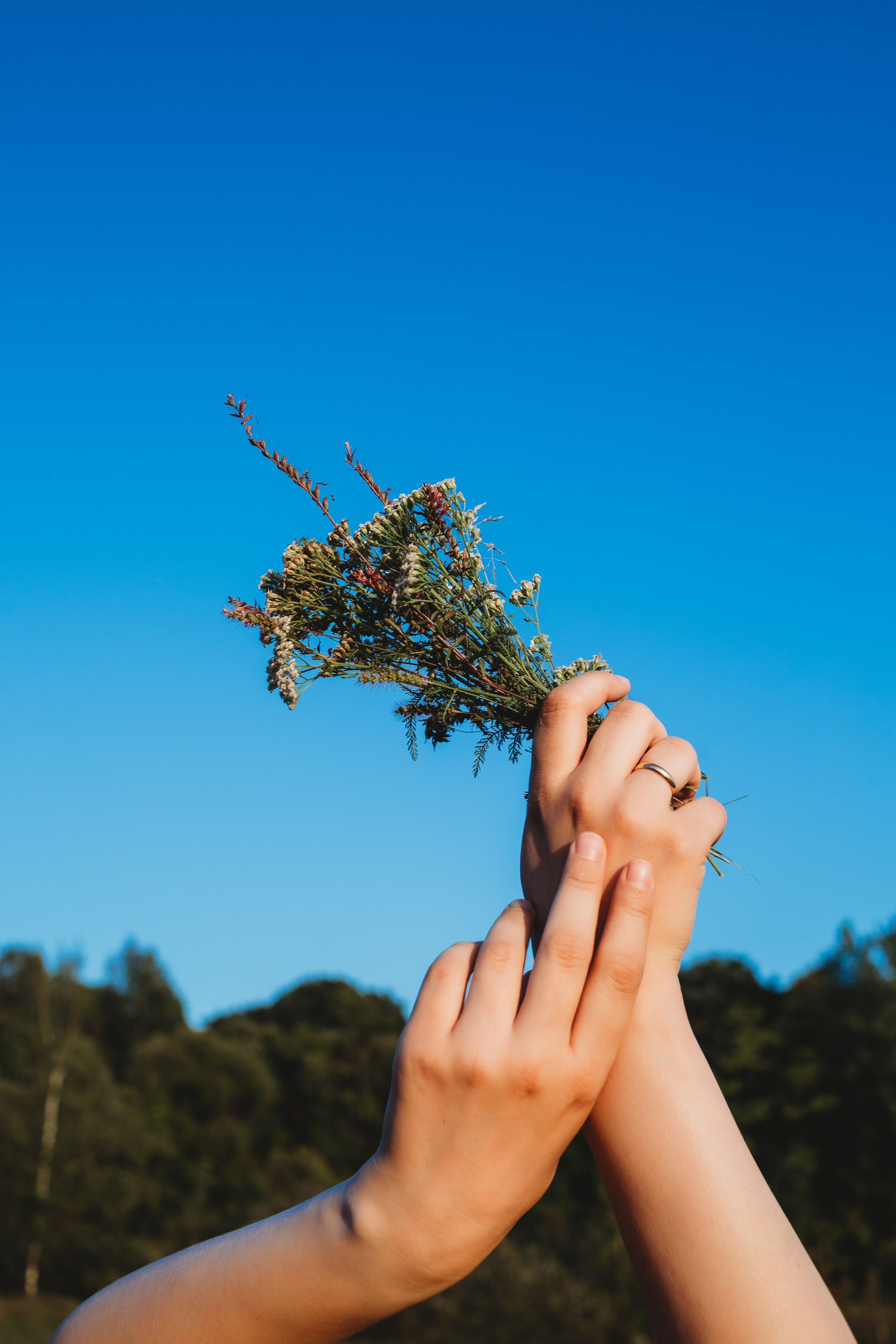 🤍. Екатерина Королева. Фотограф. Хабаровск