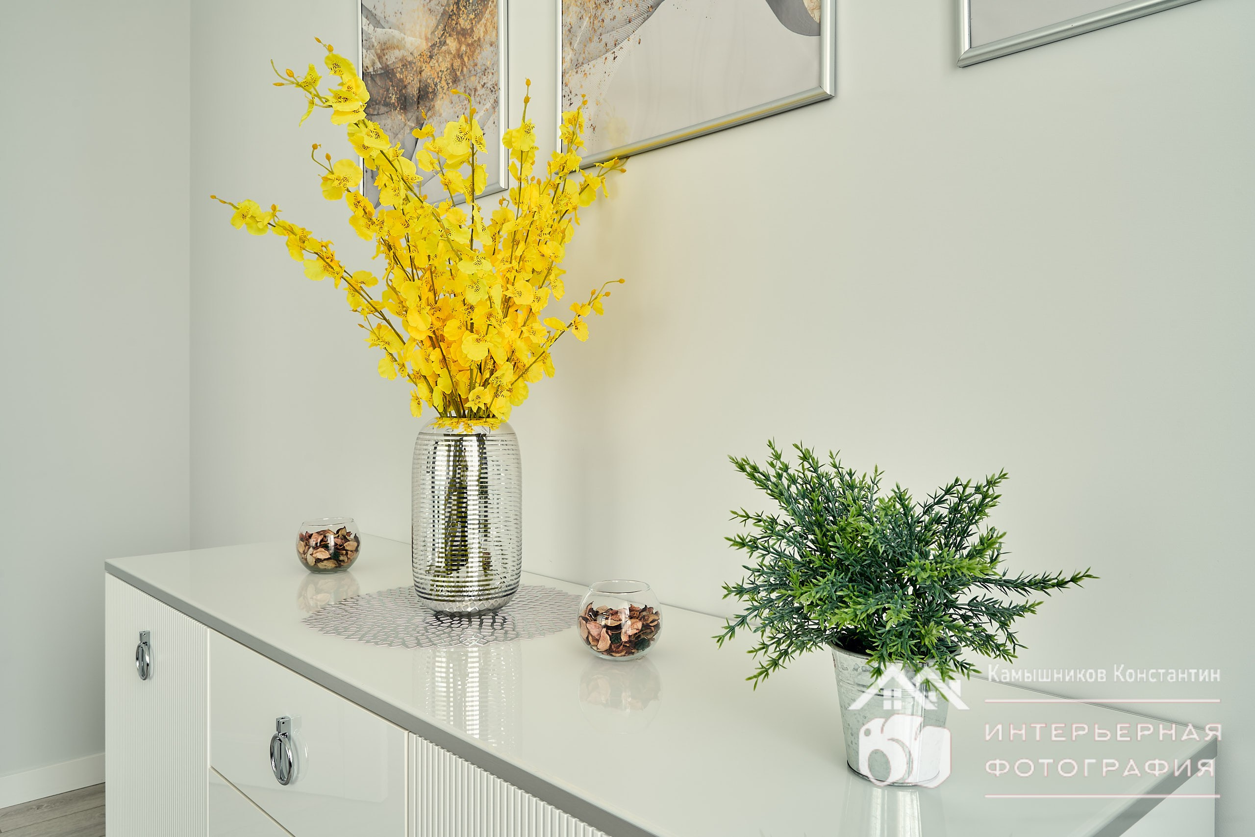 Интерьерная фотография гостиной в квартире бизнес-класса, крупный план на яркие элементы декора