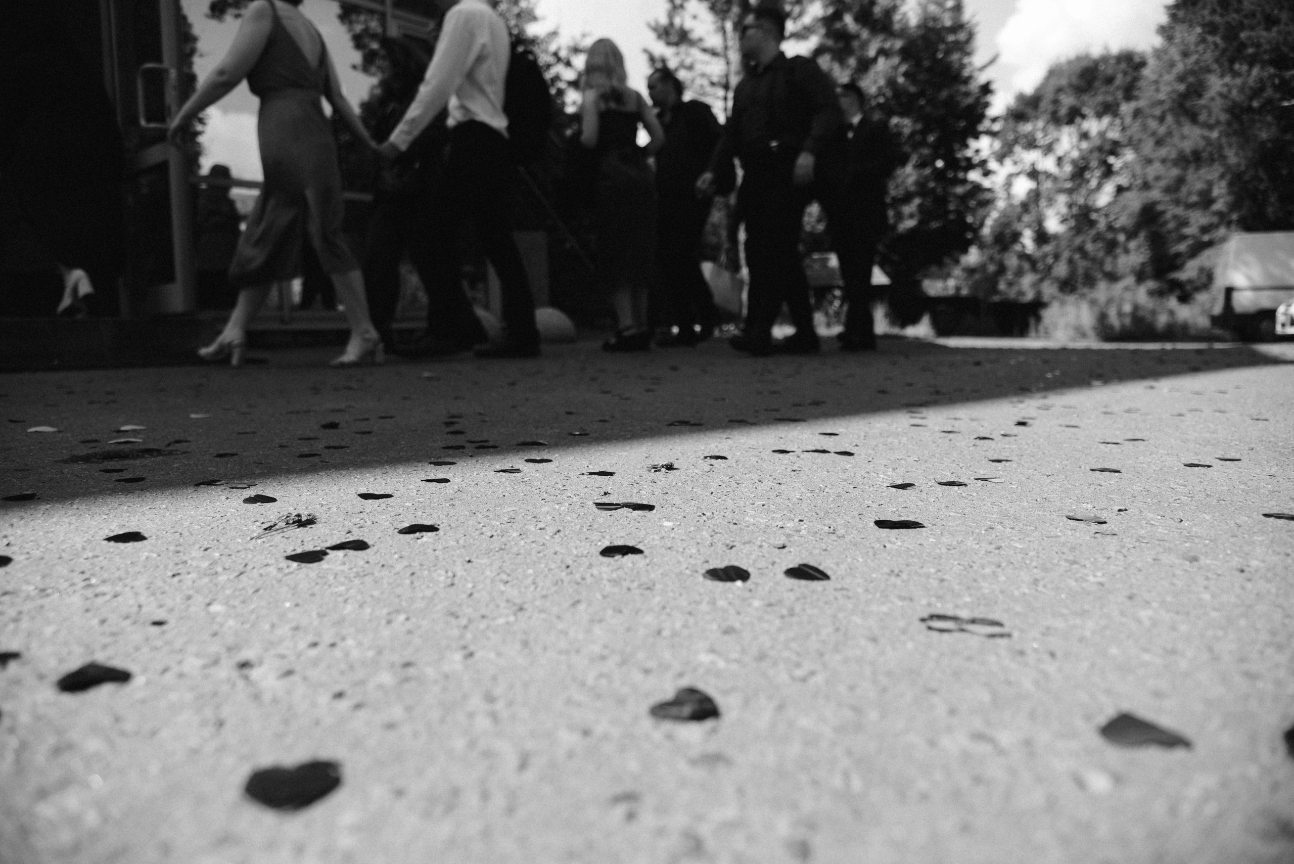 Про лес. Фотограф Лола Волна, город Москва