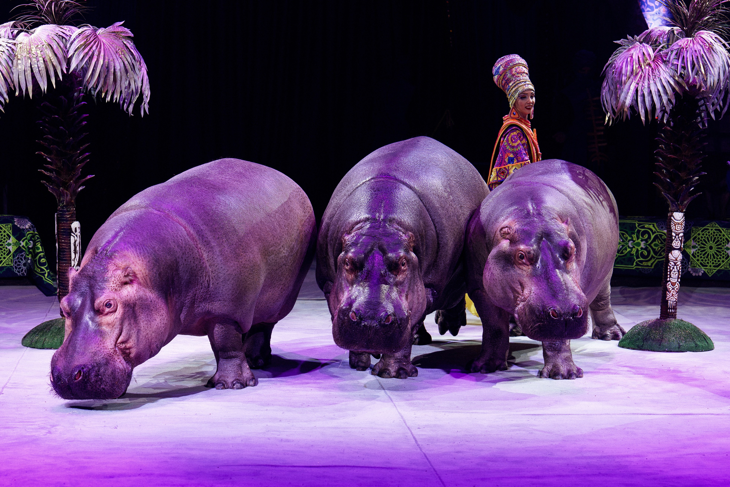 Новое шоу Гии Эрадзе «ПЕСЧАНАЯ СКАЗКА». Фотомастерская Воробьевых