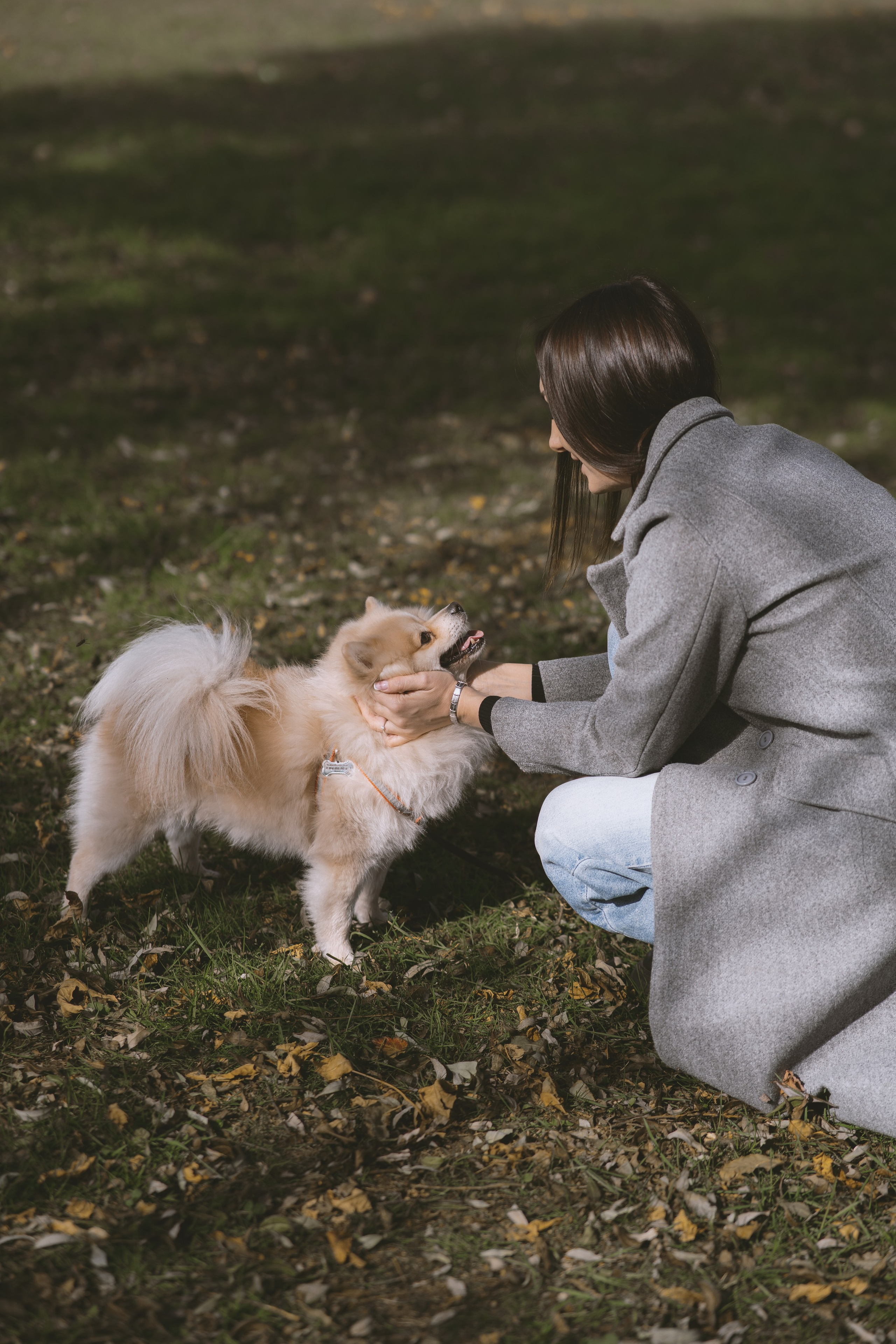 Дарья и ее шпиц Роня. Фотограф в Хабаровске — Виолетта Агафонова