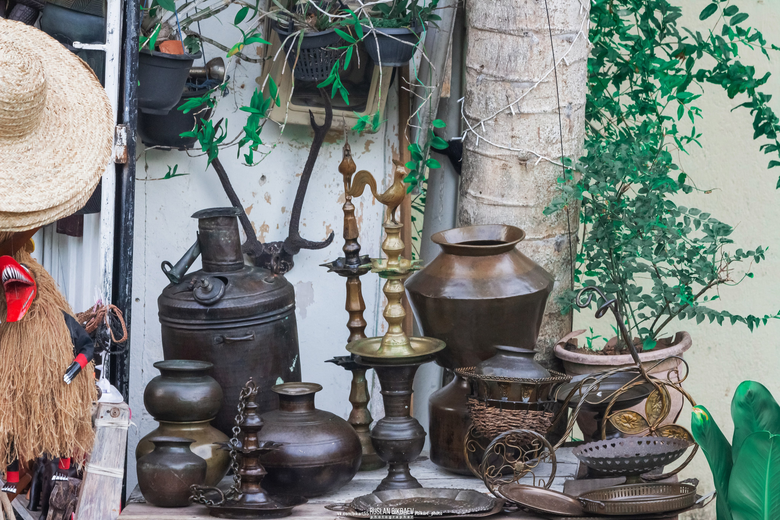 ШРИ-ЛАНКА 2025 / SRI LANKA 2025. Главная