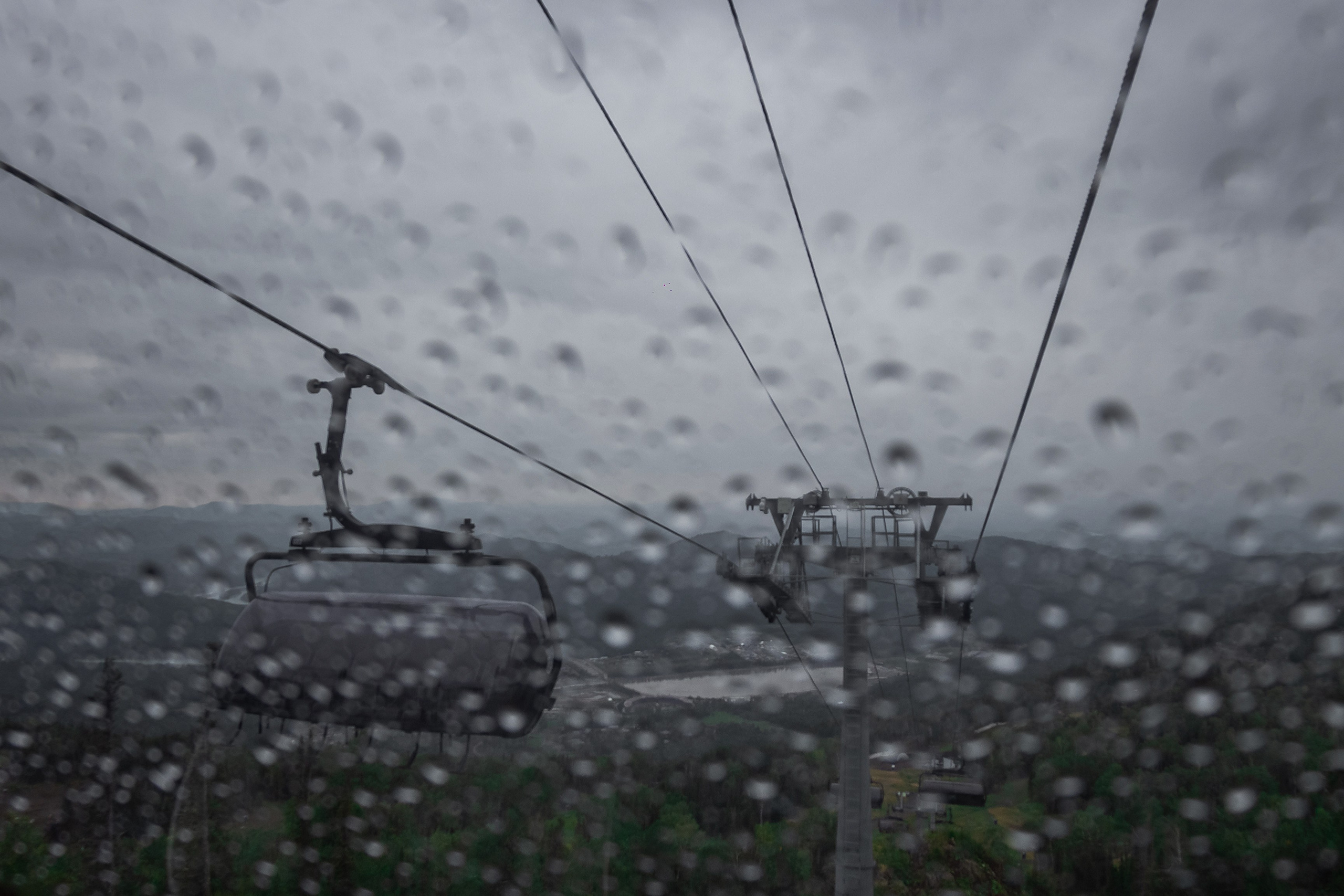 АЛТАЙ 2024 / ALTAI 2024. Главная