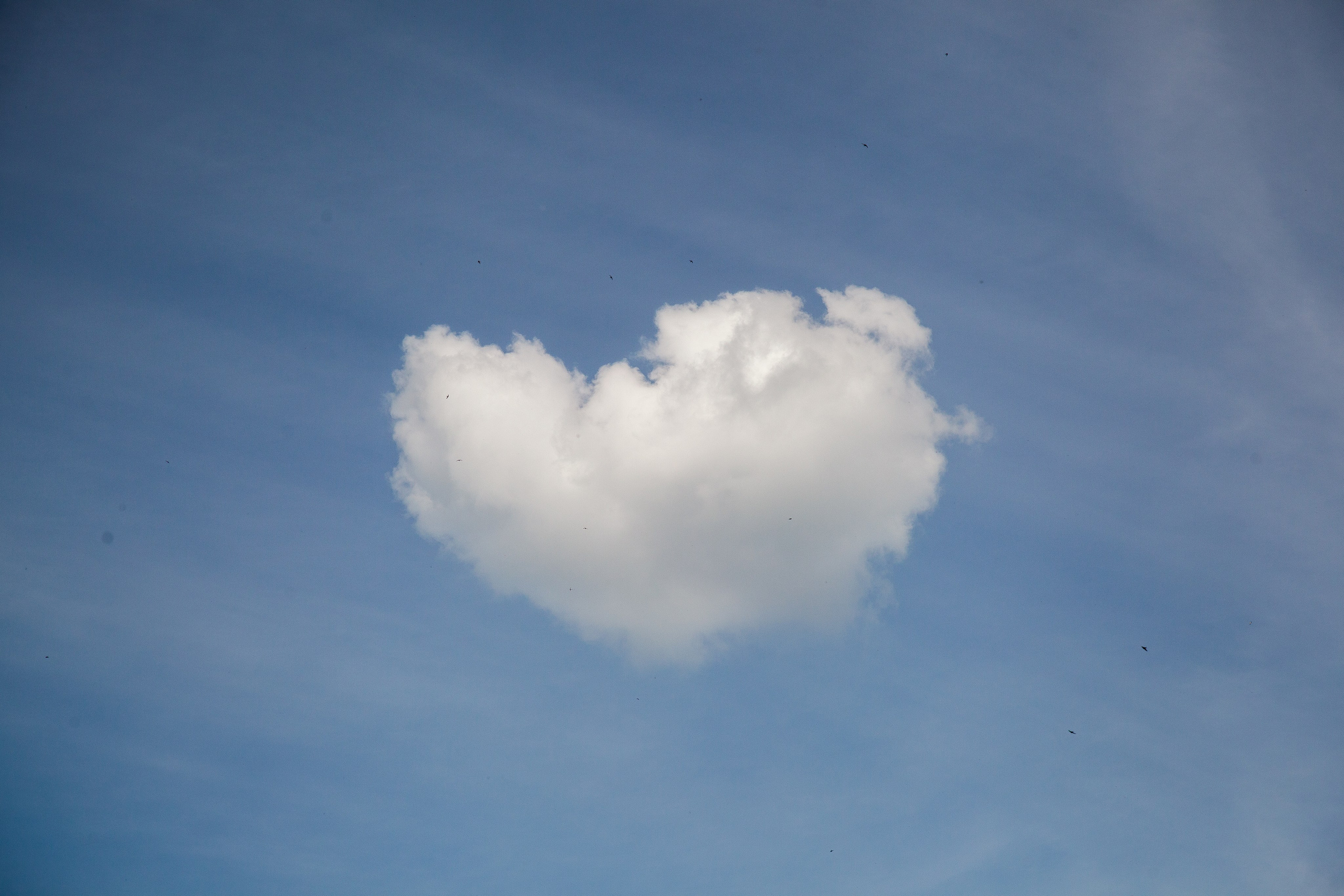 Открытие сезона Lancer Community 2025. Леонид Рябов — фотограф в Нижнем Новгороде