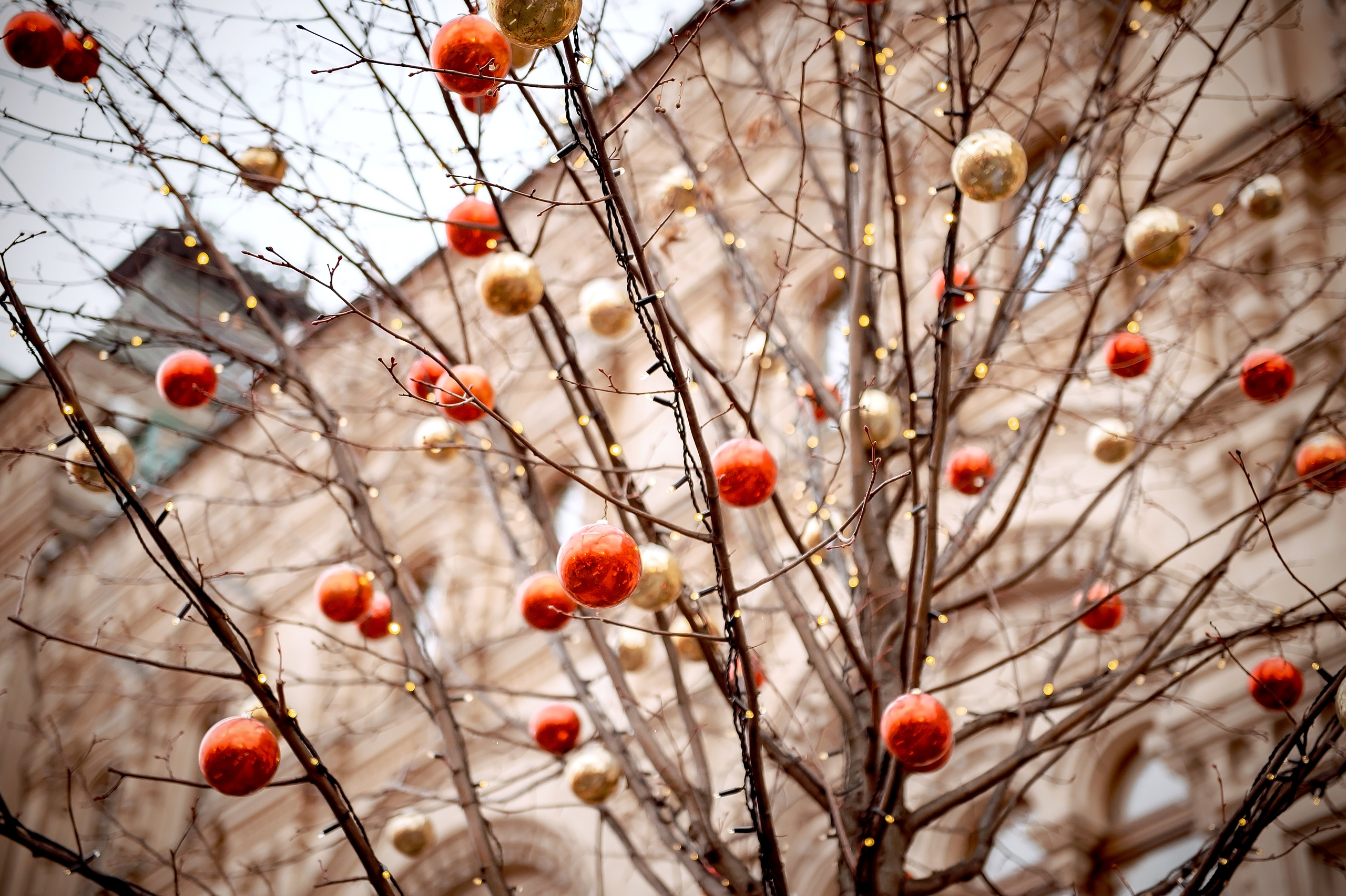 Фотопрогулка по Красной площади в новогодние каникулы. Свадебный и семейный фотограф Виктория Носачёва. Щелково, Москва и МО