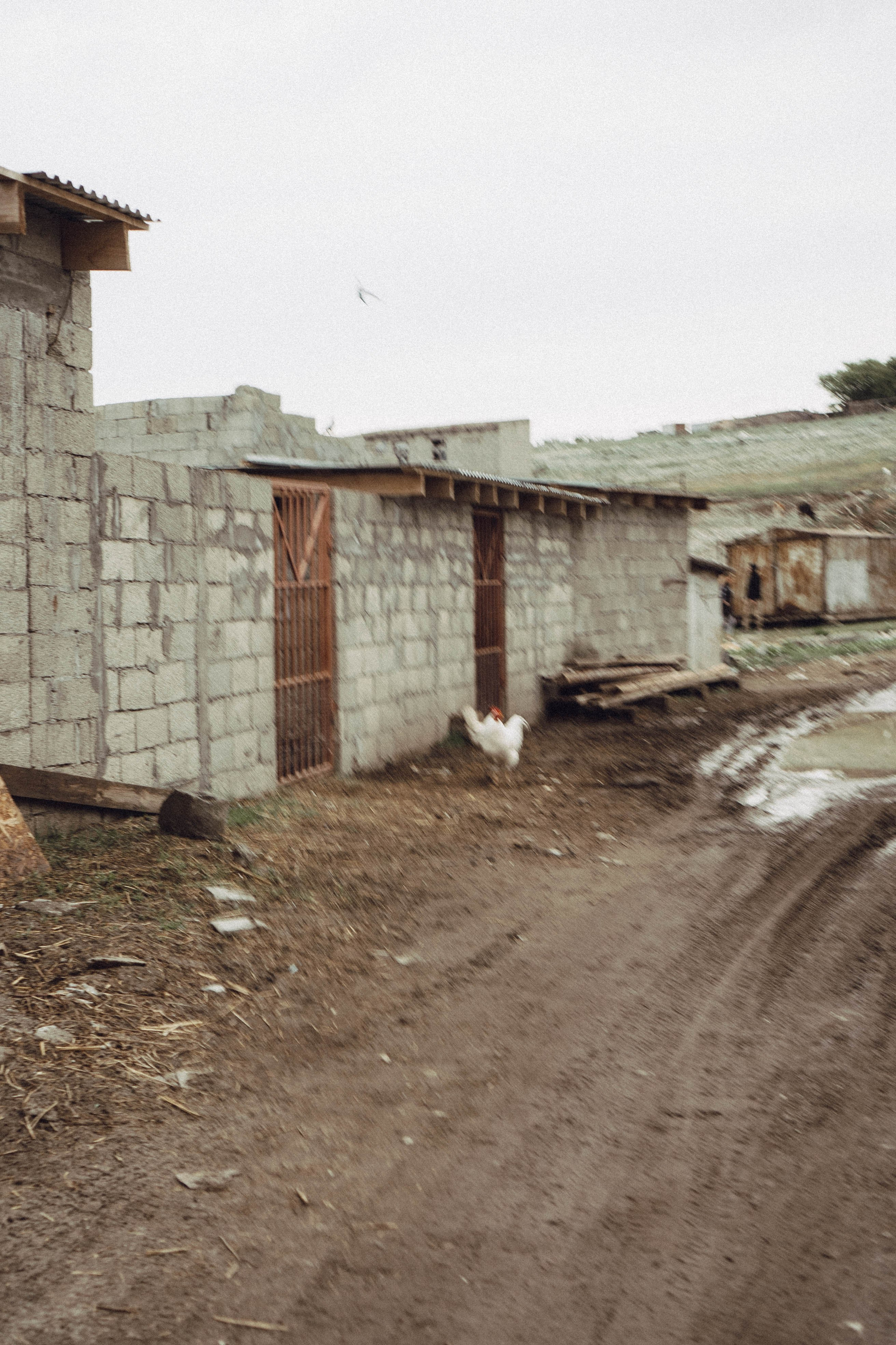 Кавказ. Профессиональный фотограф, Санкт-Петербург — Виктория Богомолова