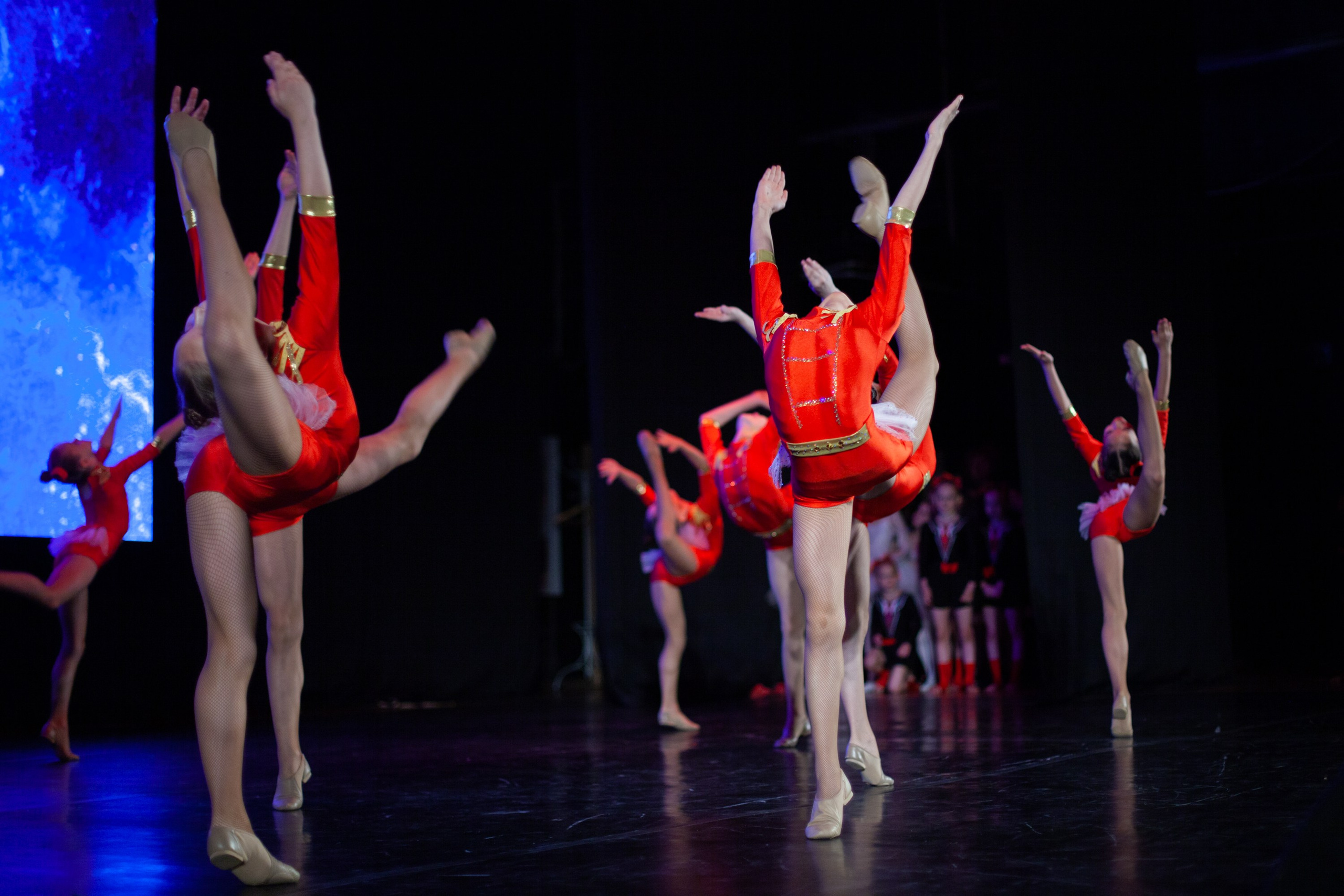 Концерты. Виолетта Скрипка