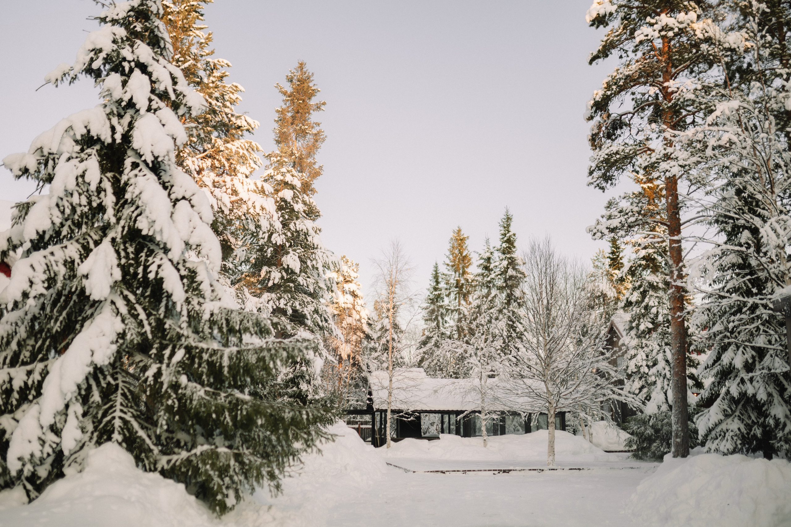 Зимняя прогулка за городом в Мурманске на фоне бескрайних заснеженных лесов.