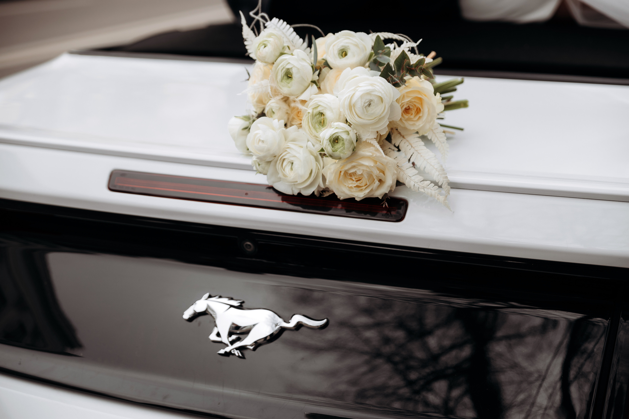 Константин и Александра в Мустанге. Миленина Юлия Свадебный и семейный фотограф в Краснодаре