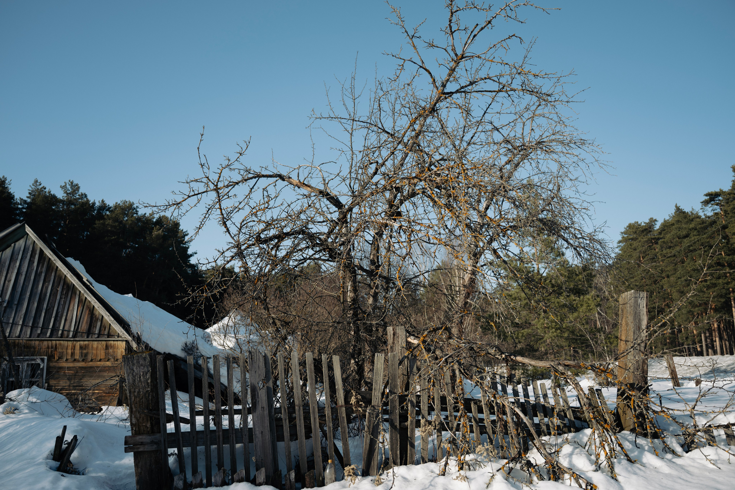 Street photo. Фотограф в Казани, и Зеленодольске Радик Мухаметов
