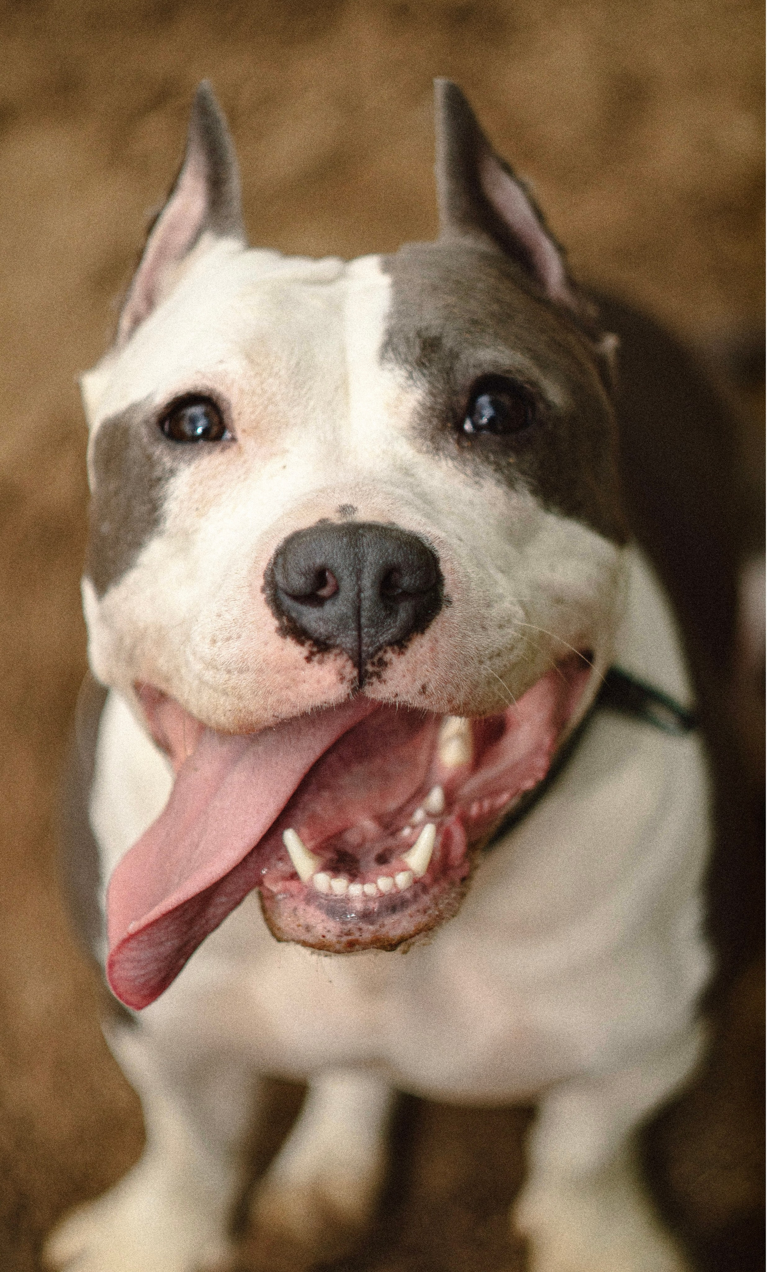 Луна. Профессиональный фотограф