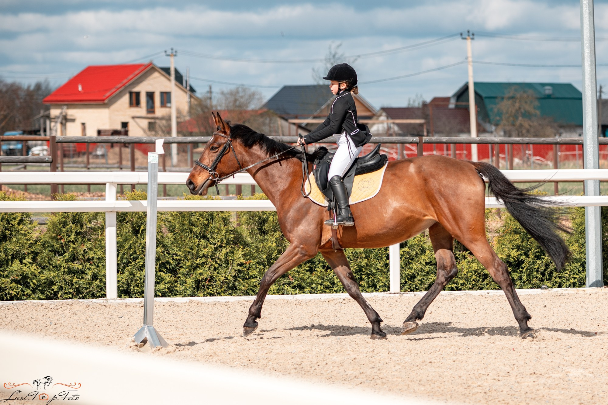 Весенний кубок по конкуру в КК Equipark. Конный и фотограф с животными в Твери Топталова Люся