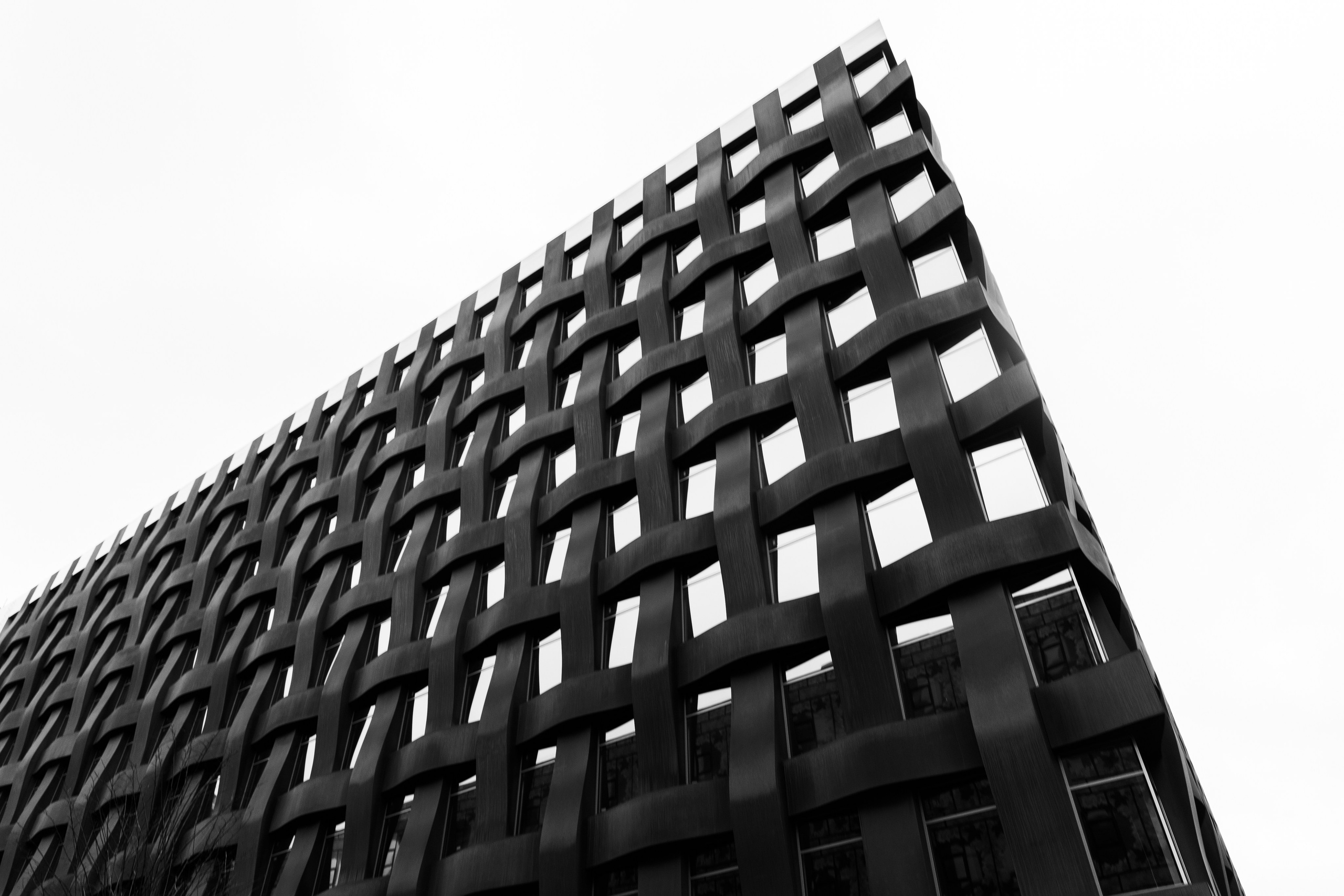 Пейзаж. Фотограф Твердохлебова Дарья, г. Санкт-Петербург