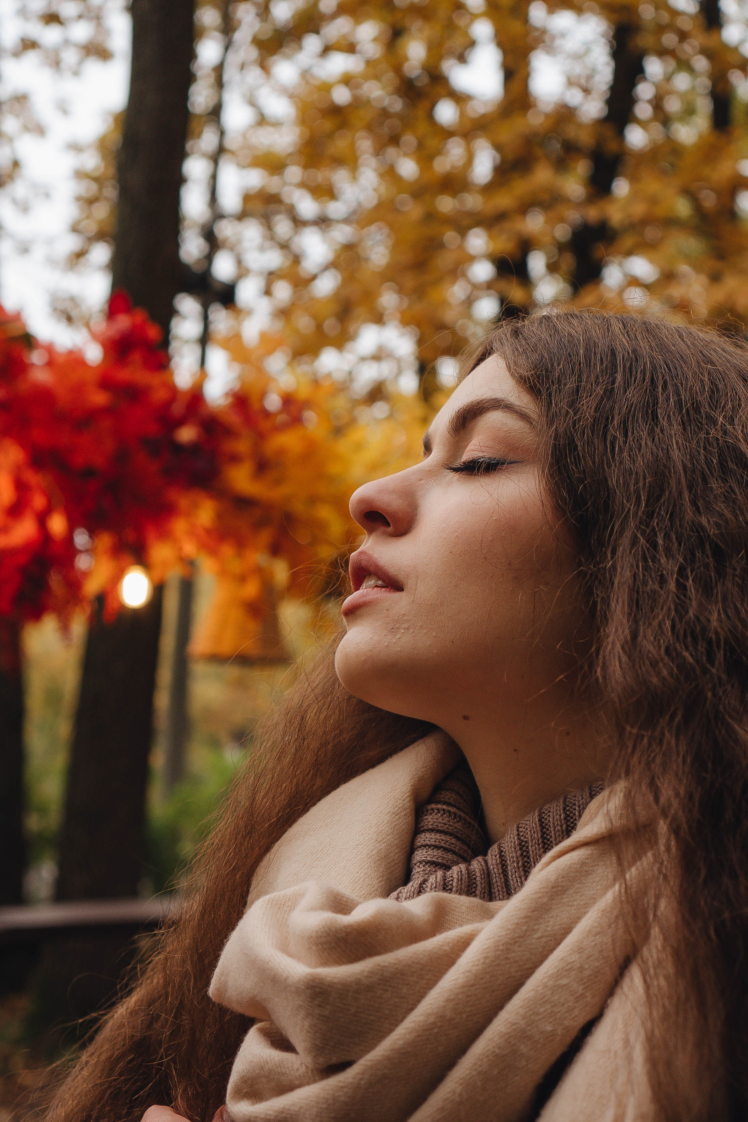 Осень. Профессиональный фотограф, Санкт-Петербург — Виктория Богомолова