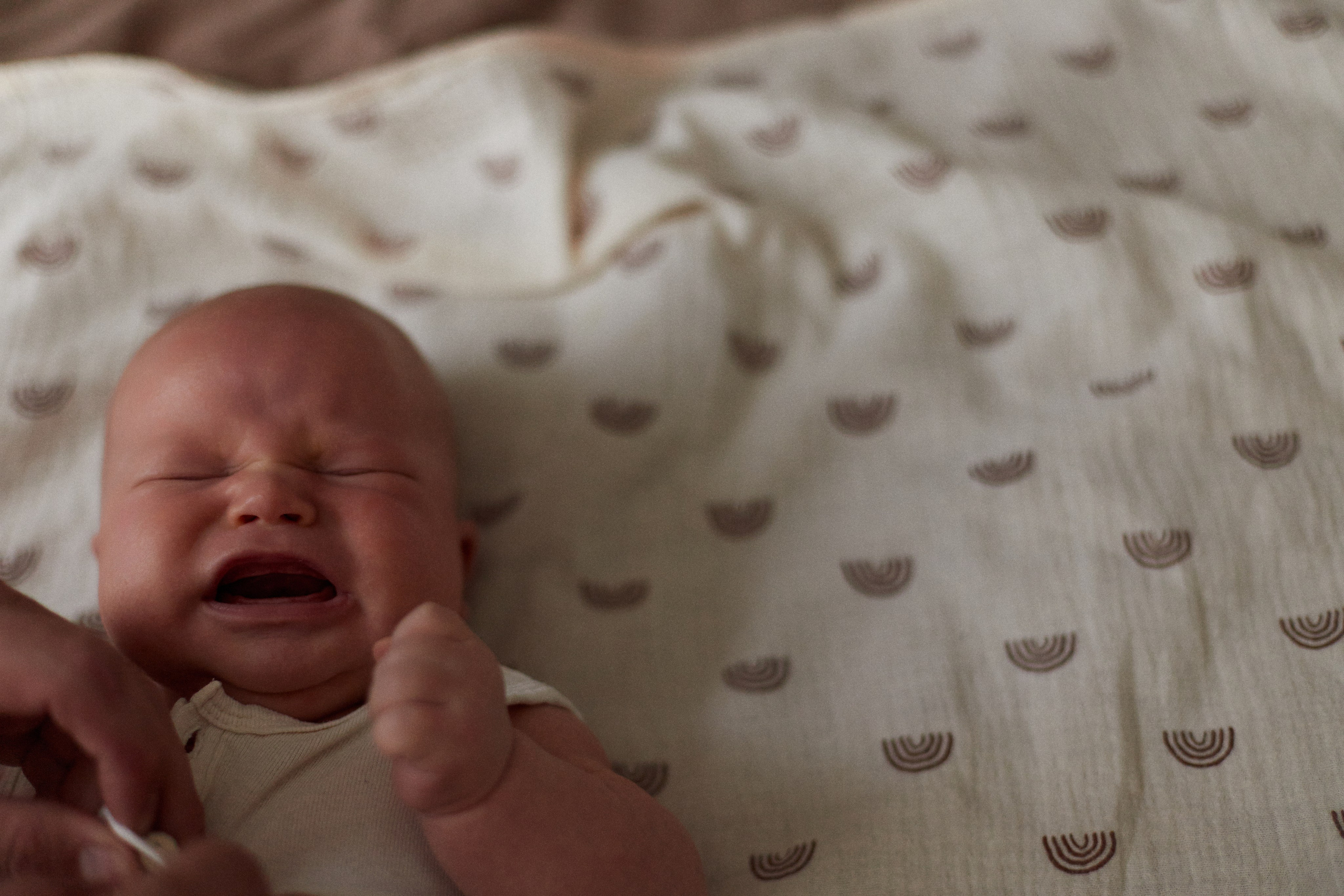 HOME. Фотограф в Волгограде и Москве Алина Галушкина