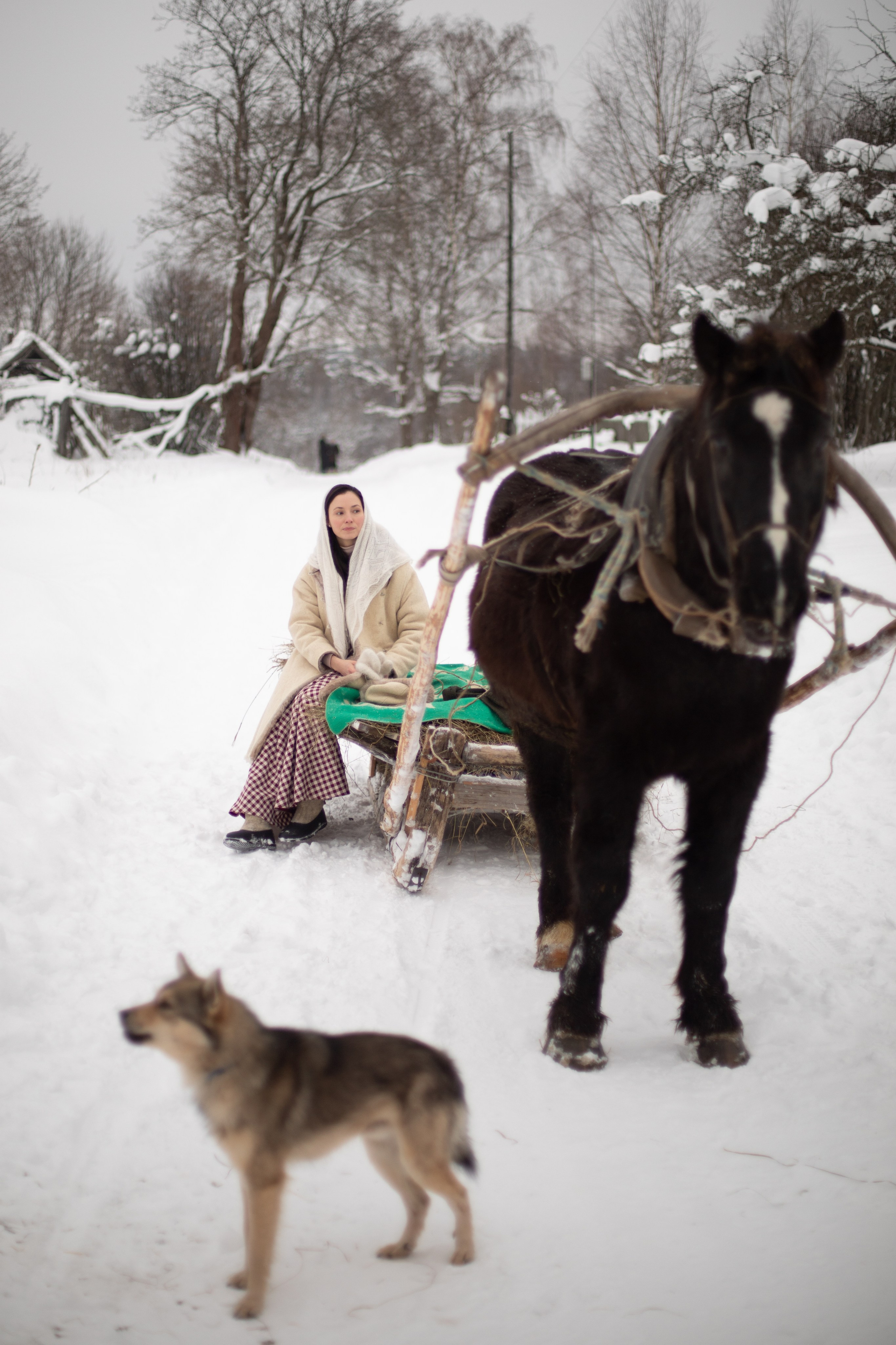 Фототур «Край озер» Зима. Семейный фотограф в Москве Анастасия Гурьянова