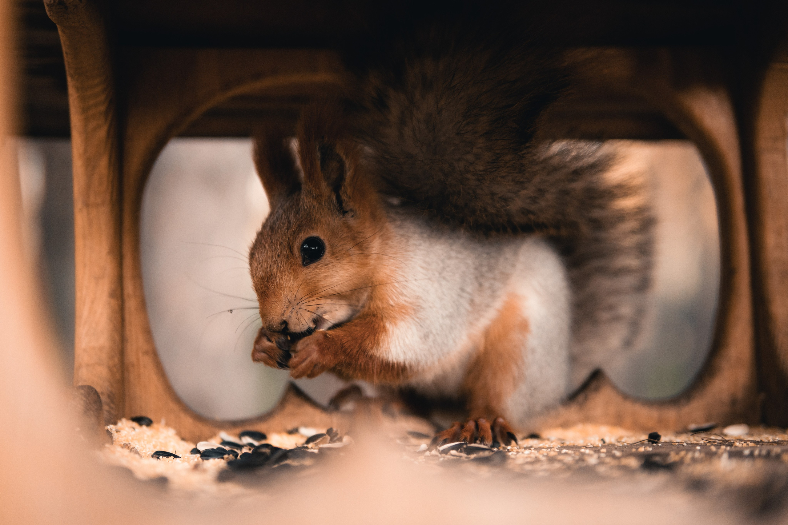 Прогулка по парку. Фотограф в Новосибирске