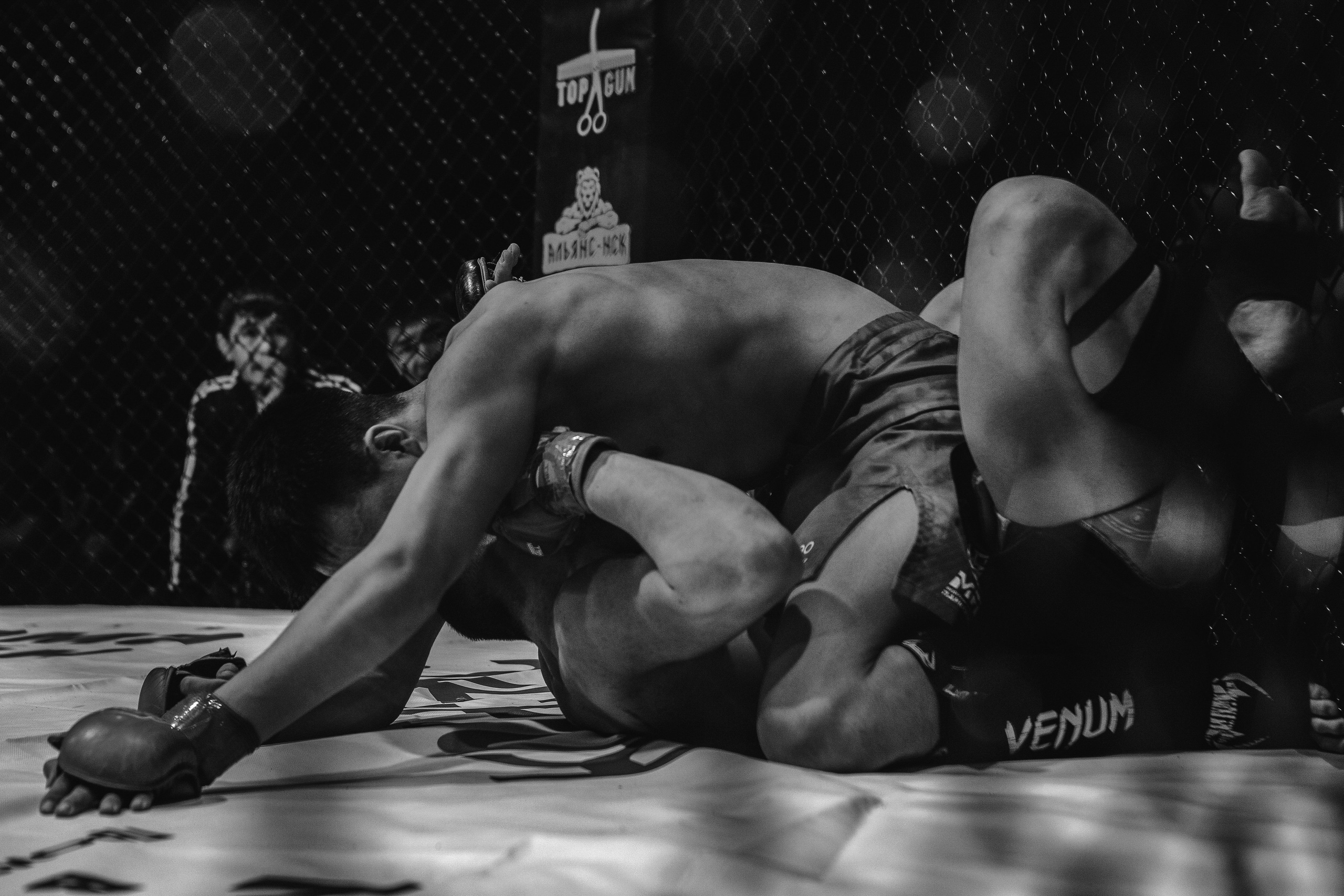 SFL 17 | Siberian Fighting League. Портретный фотограф в Москве Дарья Цезария