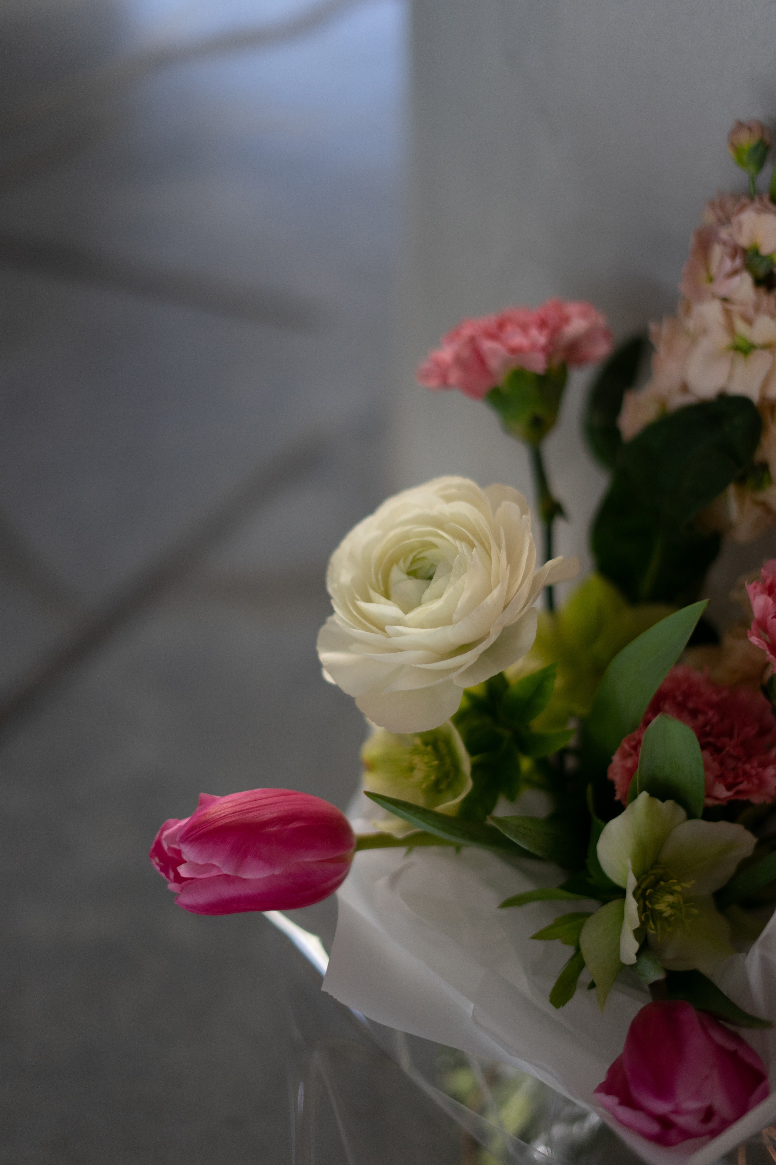 MC from a florist. Портретный и семейный фотограф в Мариуполе, РФ. Даша Жогло