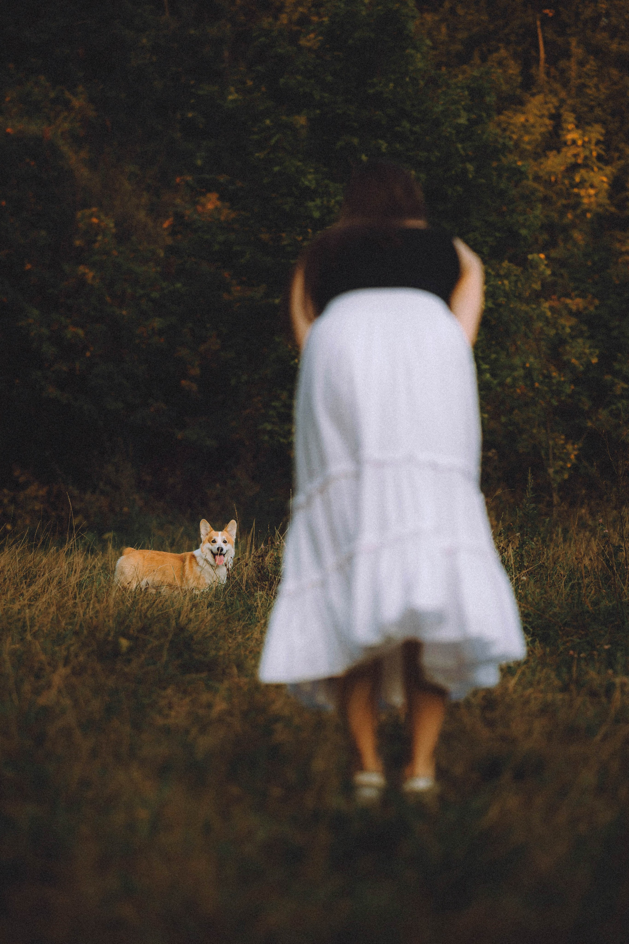Арчи и его семья