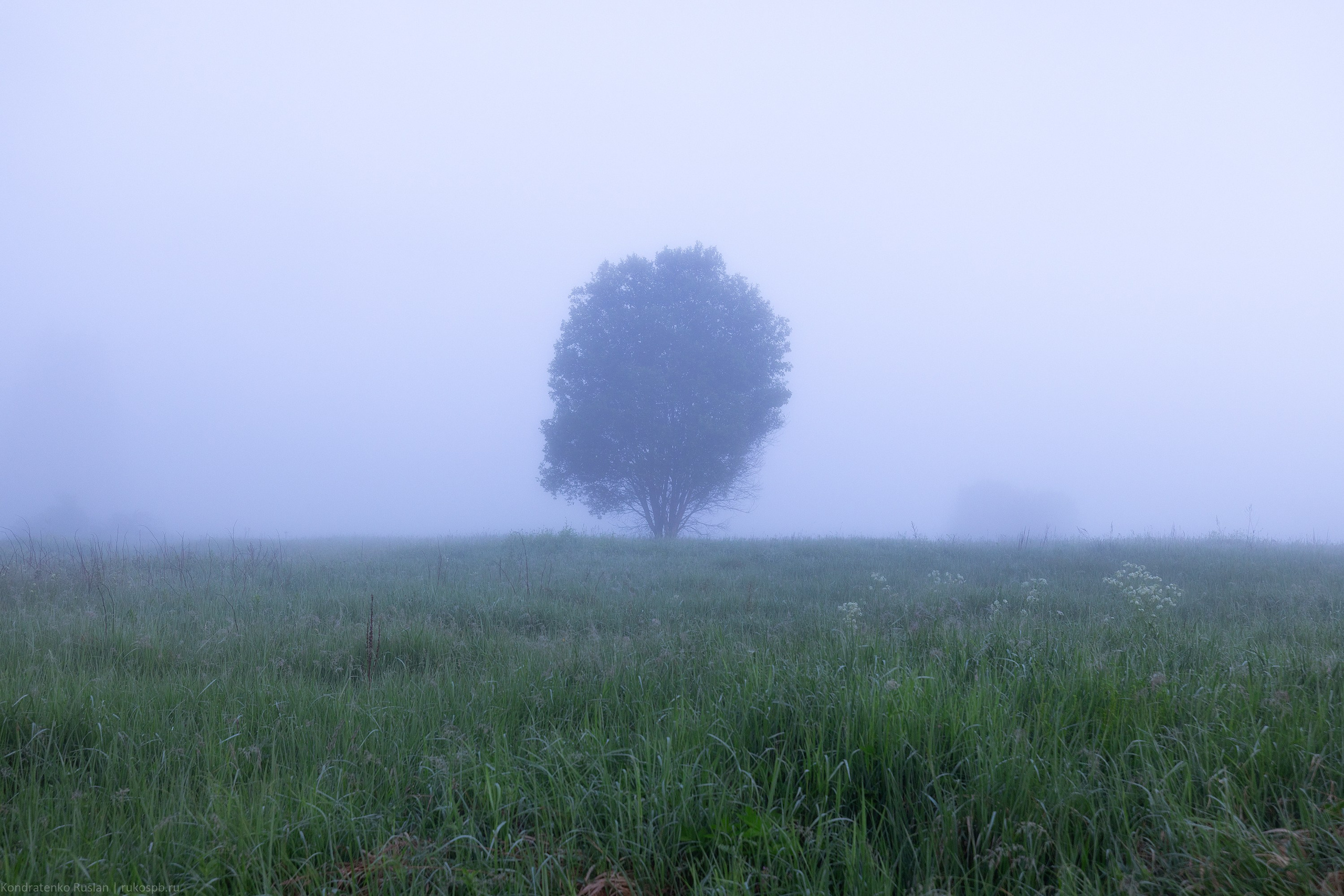Ленинградская область. Архитектурный и пейзажный фотограф Кондратенко Руслан, Санкт-Петербург