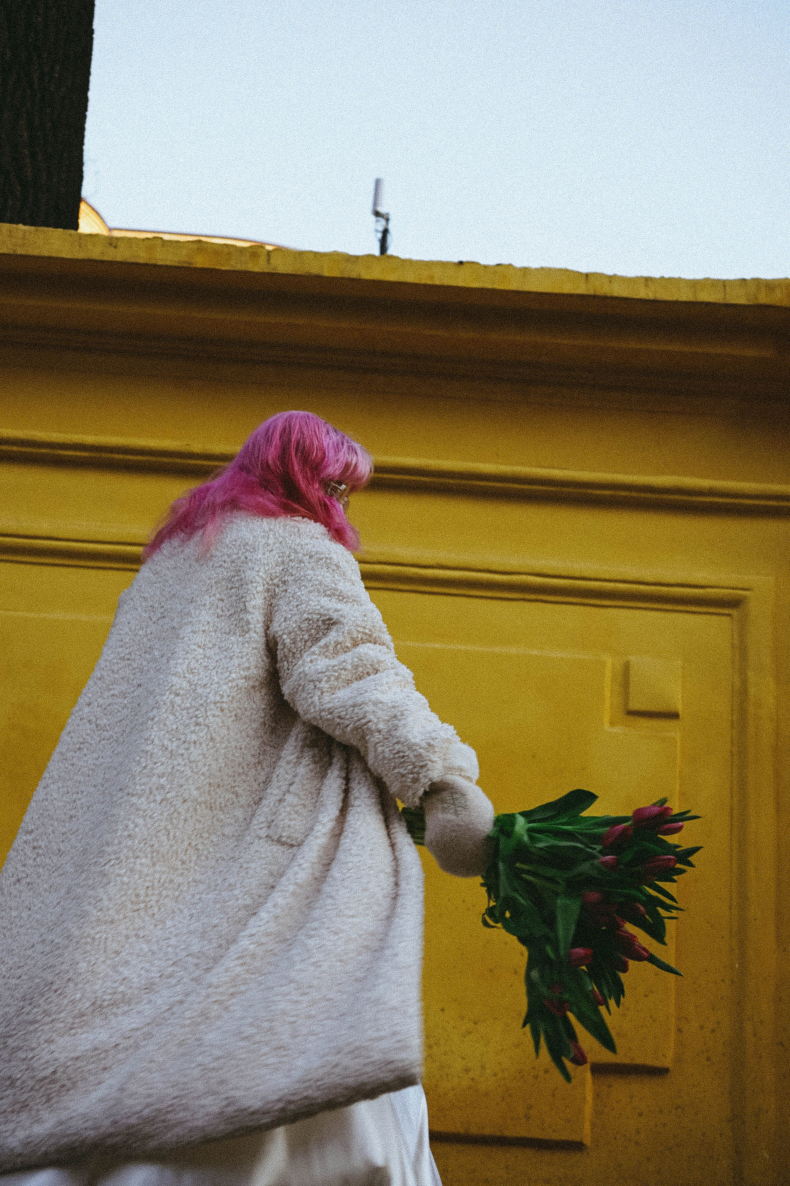 Тюльпаны. Профессиональный фотограф, Санкт-Петербург — Виктория Богомолова