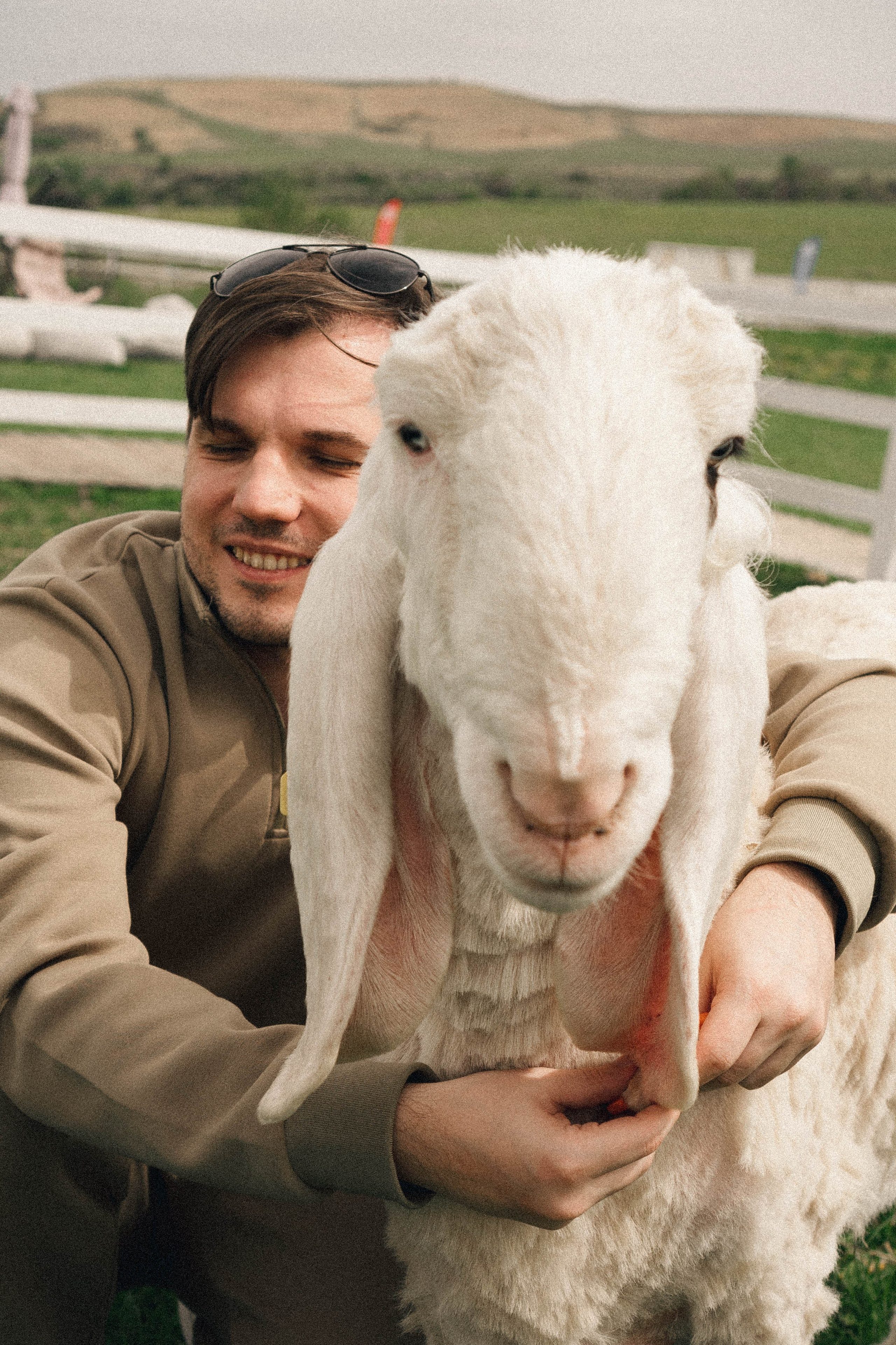 Ферма Альпак. Профессиональный фотограф, Санкт-Петербург — Виктория Богомолова