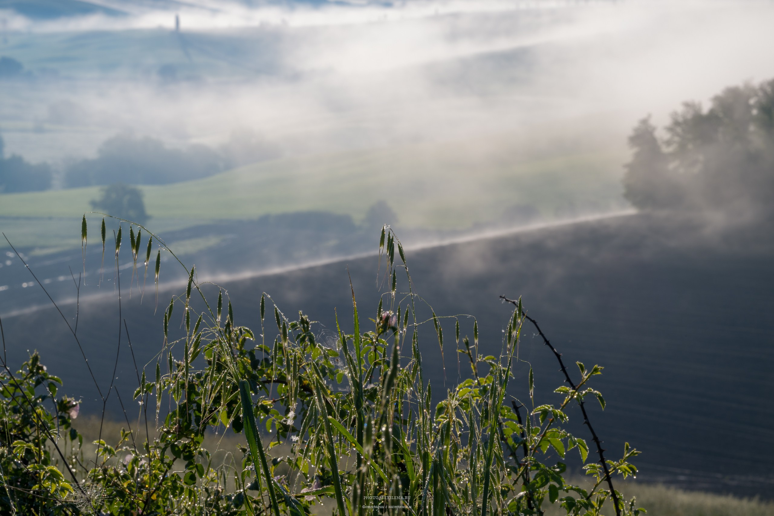 Волшебное утро в Тоскане. Авторские стильные фотокартины