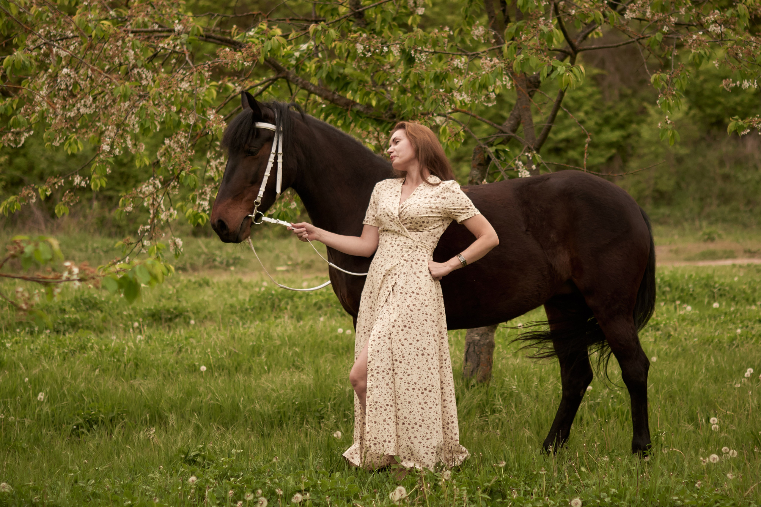 Фотосессия с лошадью Севастополь. Фотограф в Севастополе