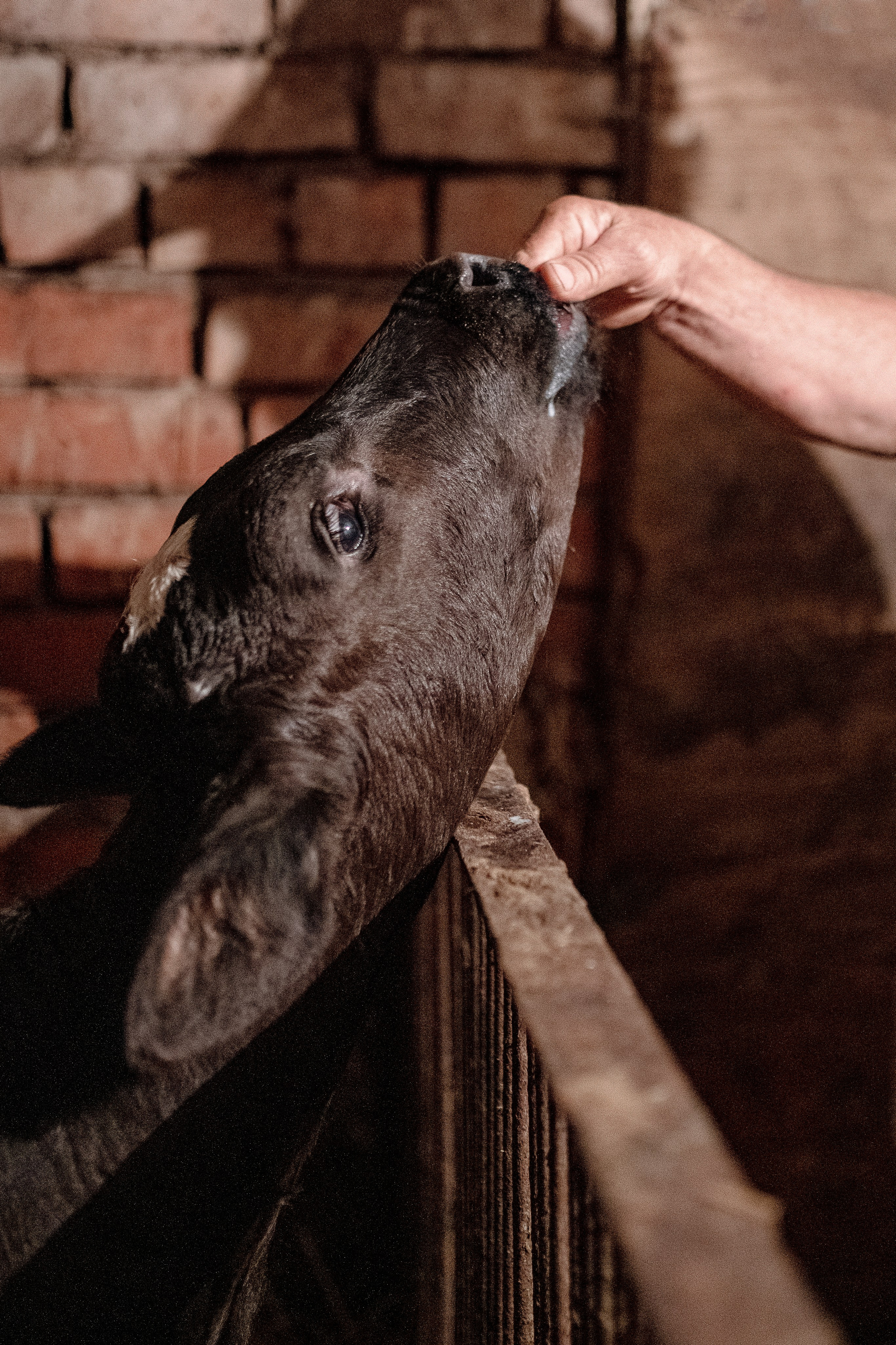 Цветные фотографии. Фотографии Лены Соколовой