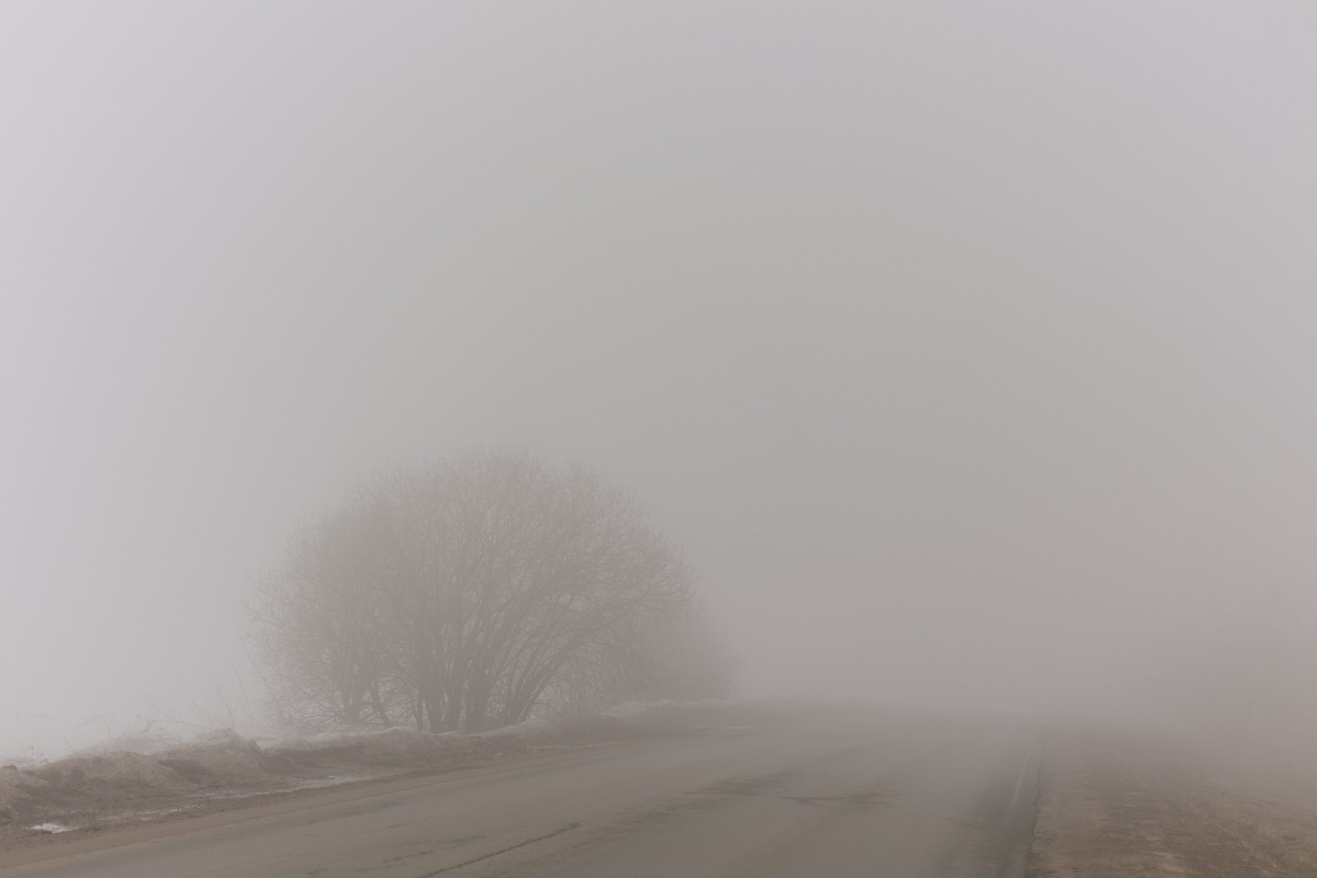 Природа деревни. Фотограф Эльмира Лин