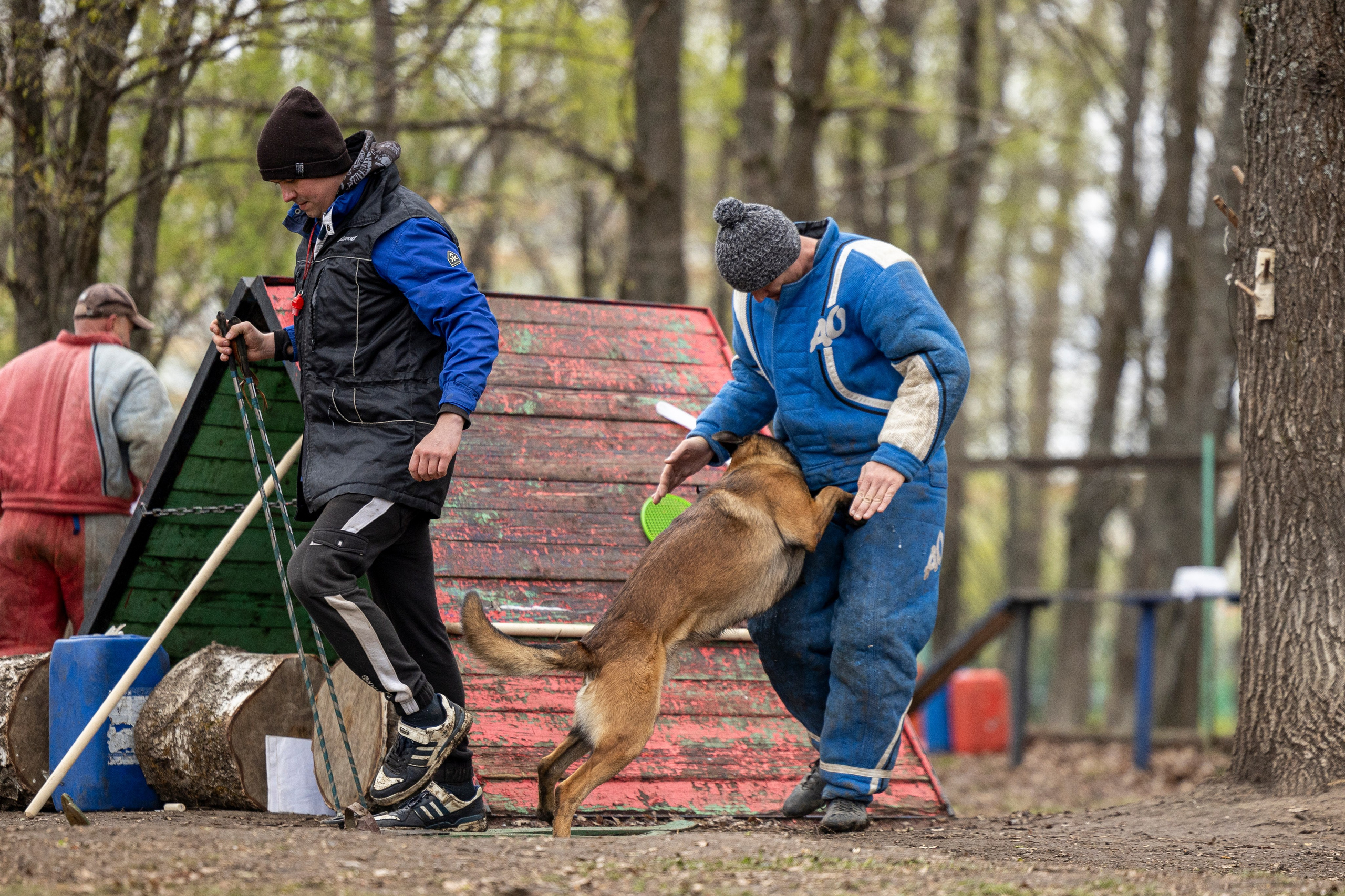 Квалификационные состязания по мондьорингу г. Вологда 11.05.24. Фотограф-анималист Анна Маринич