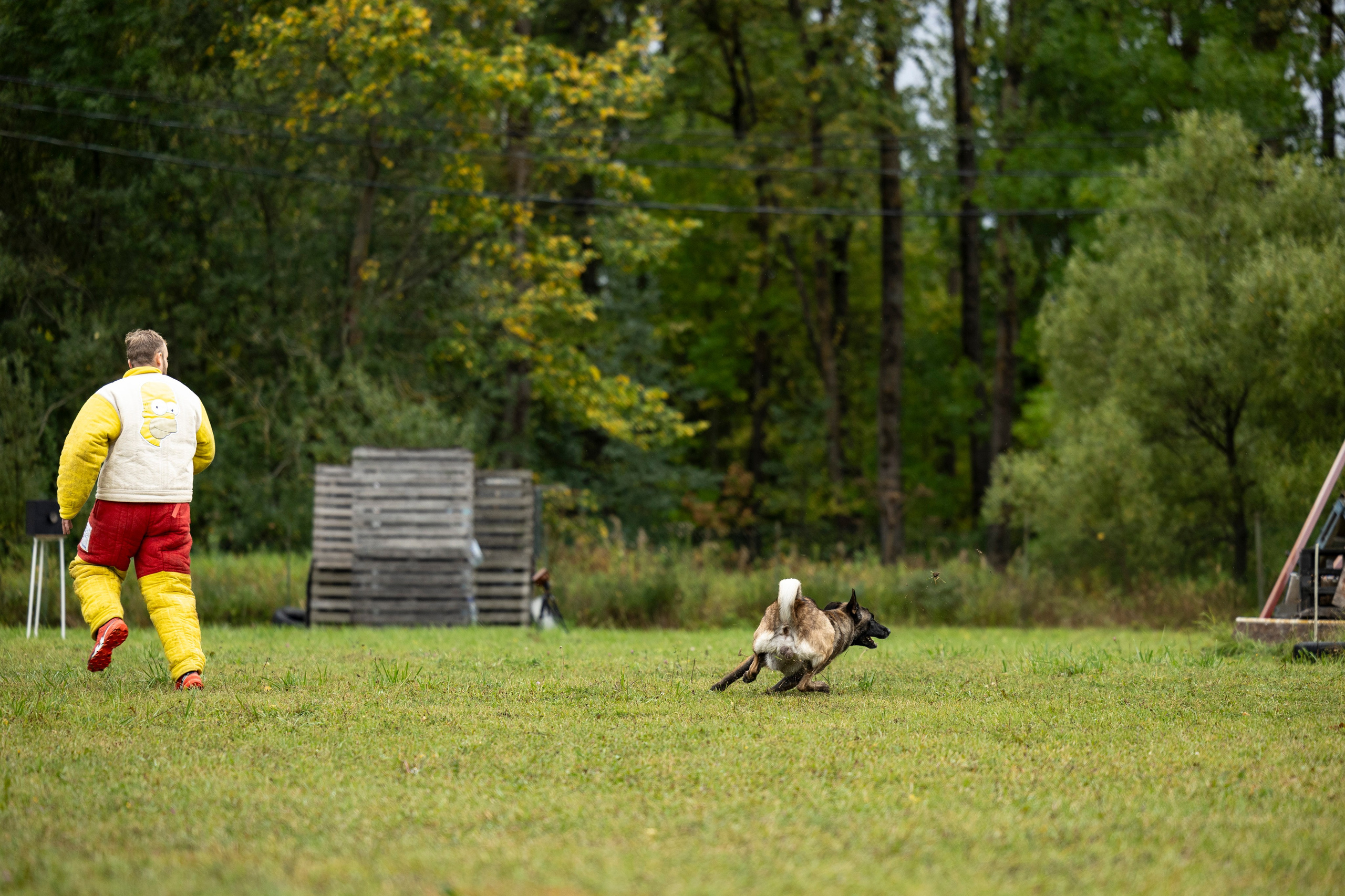 Испытания по Мондьорингу г. Пушкин. Фотограф-анималист Анна Маринич