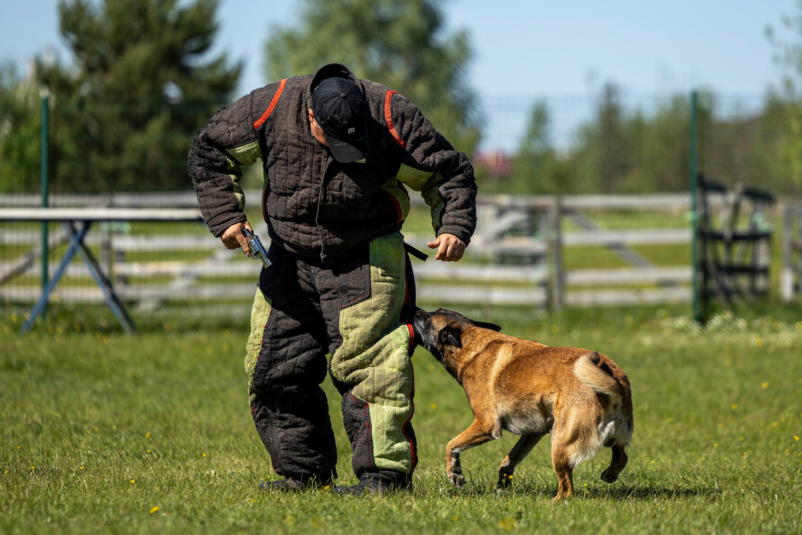 Испытания по мондьорингу в Нижнем Новгороде. Фотограф-анималист Анна Маринич