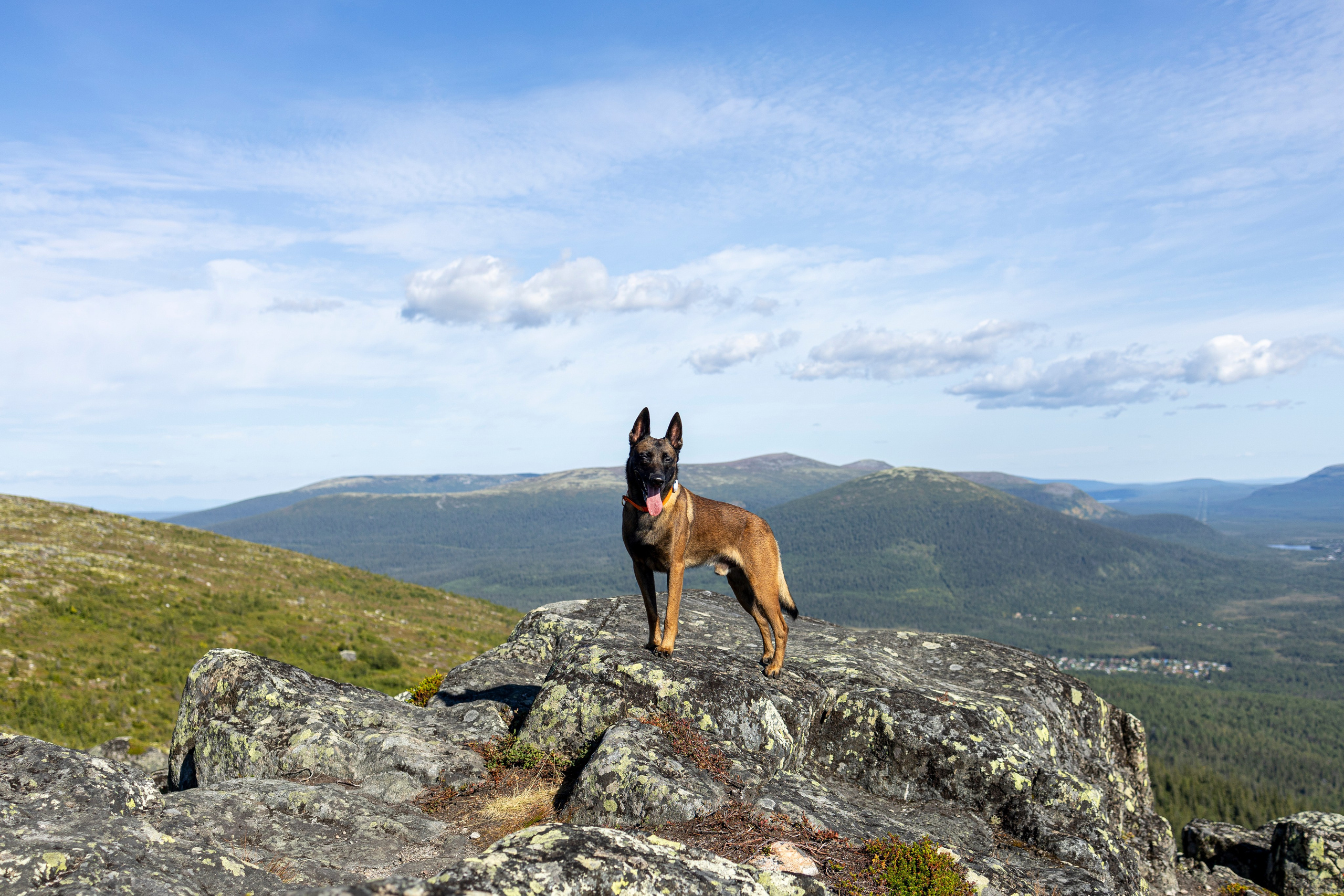 Горы. Фотограф-анималист Анна Маринич