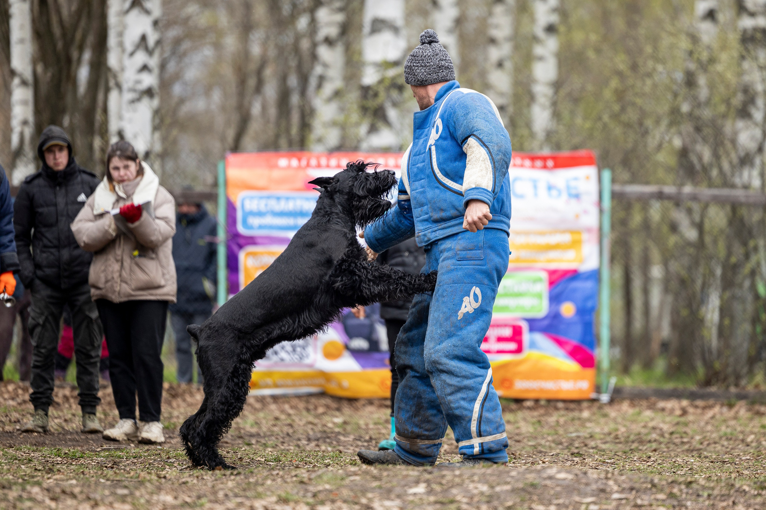 Квалификационные состязания по мондьорингу г. Вологда 11.05.24. Фотограф-анималист Анна Маринич