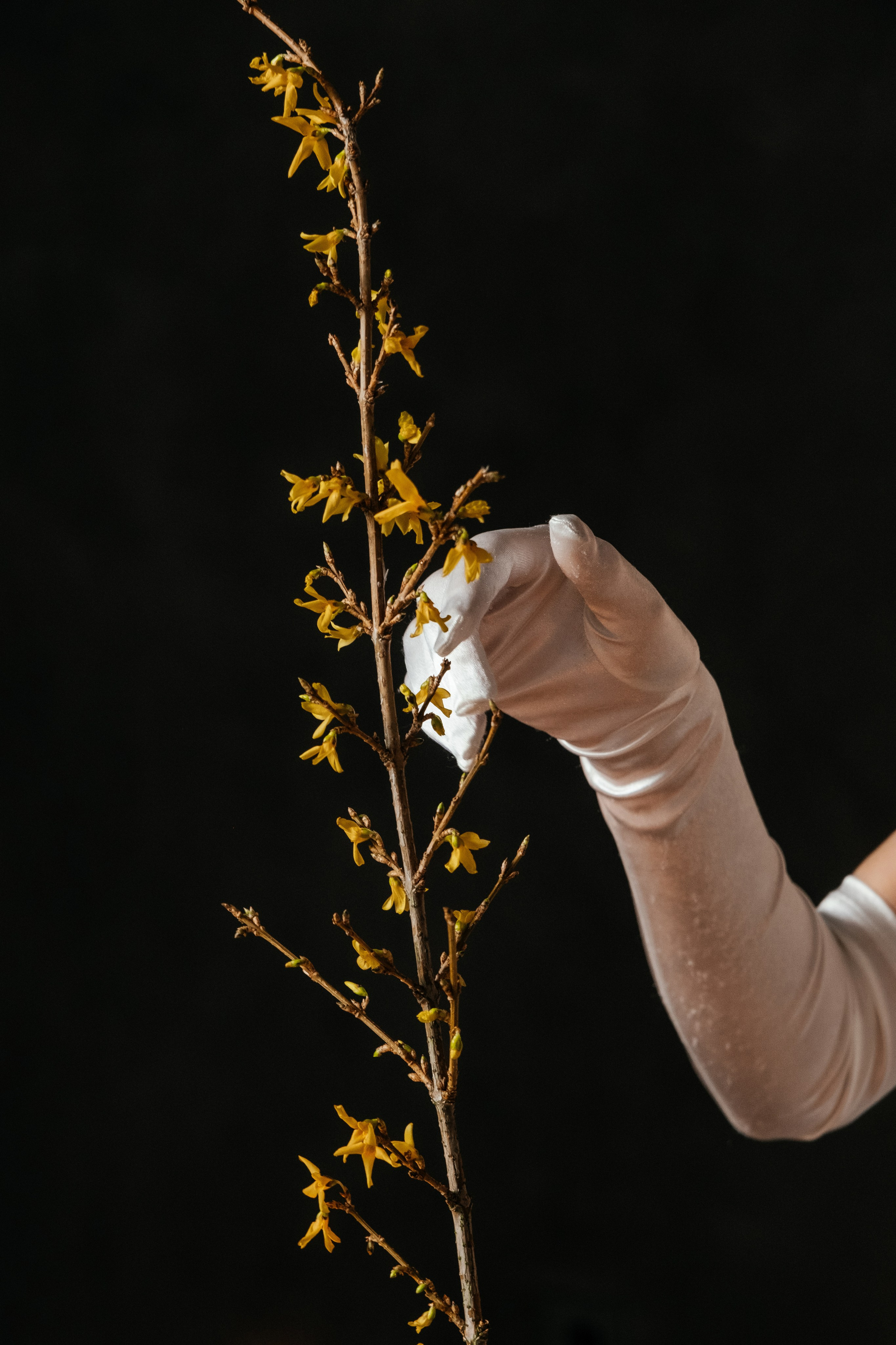 Фотограф свадебный Екатеринбурге — профессиональная съемка, лучшие кадры, эмоции, моменты. Свадебный фотограф в Екатеринбурге — заказ профессиональной фотосесии, все виды фотосъемки