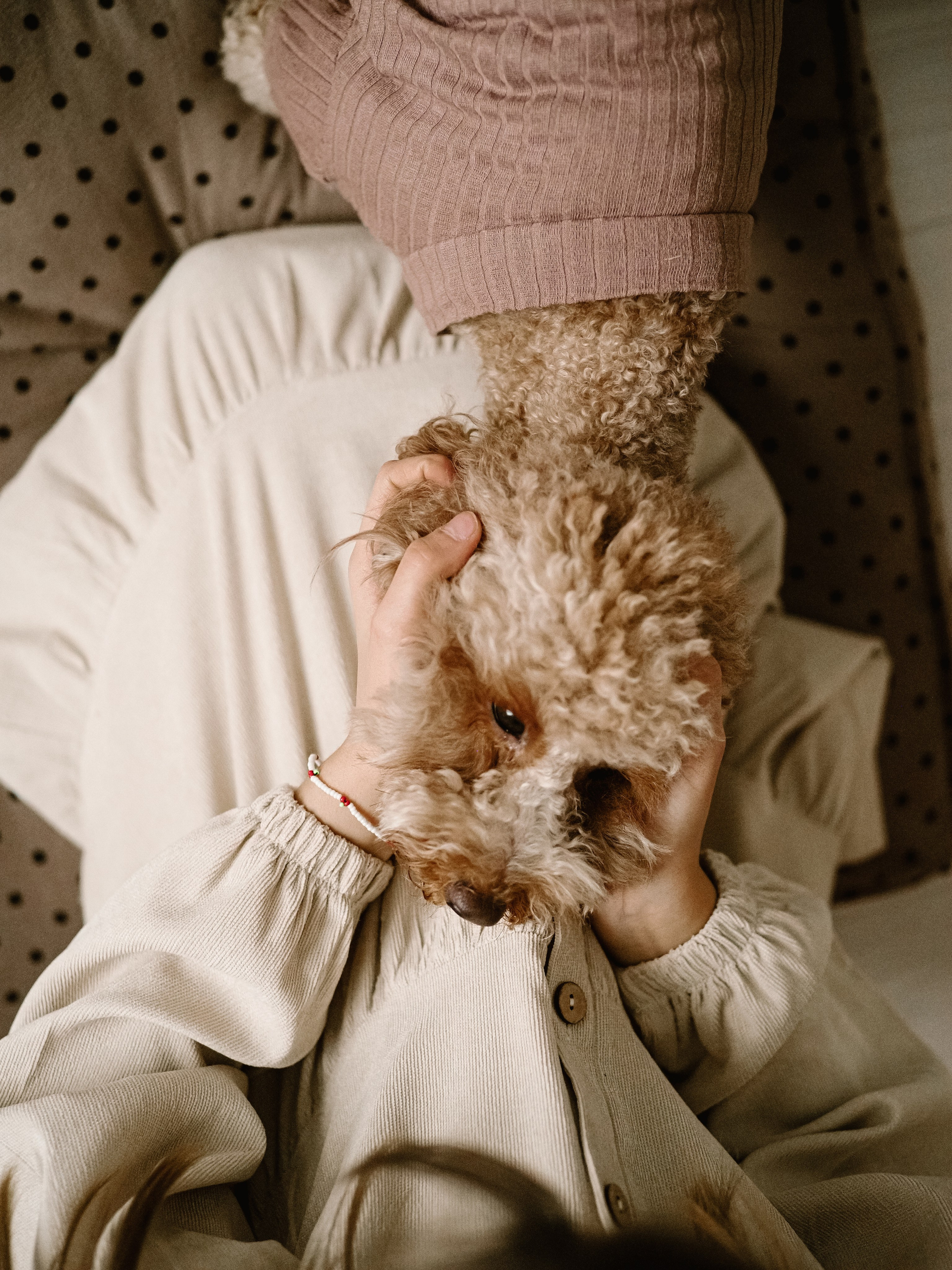 Вся семья и самый главный. Фотограф Рязань. Семейный Свадебный фотограф