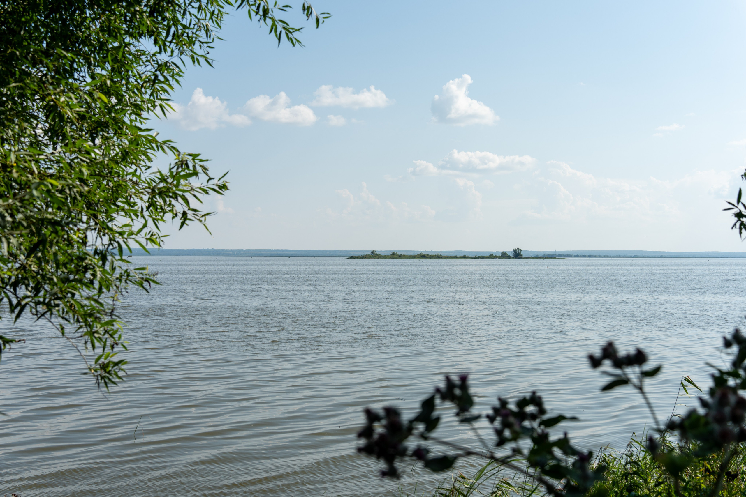 20250729-30 Ростов. Дмитрий Ремизов. Фотография, как хобби
