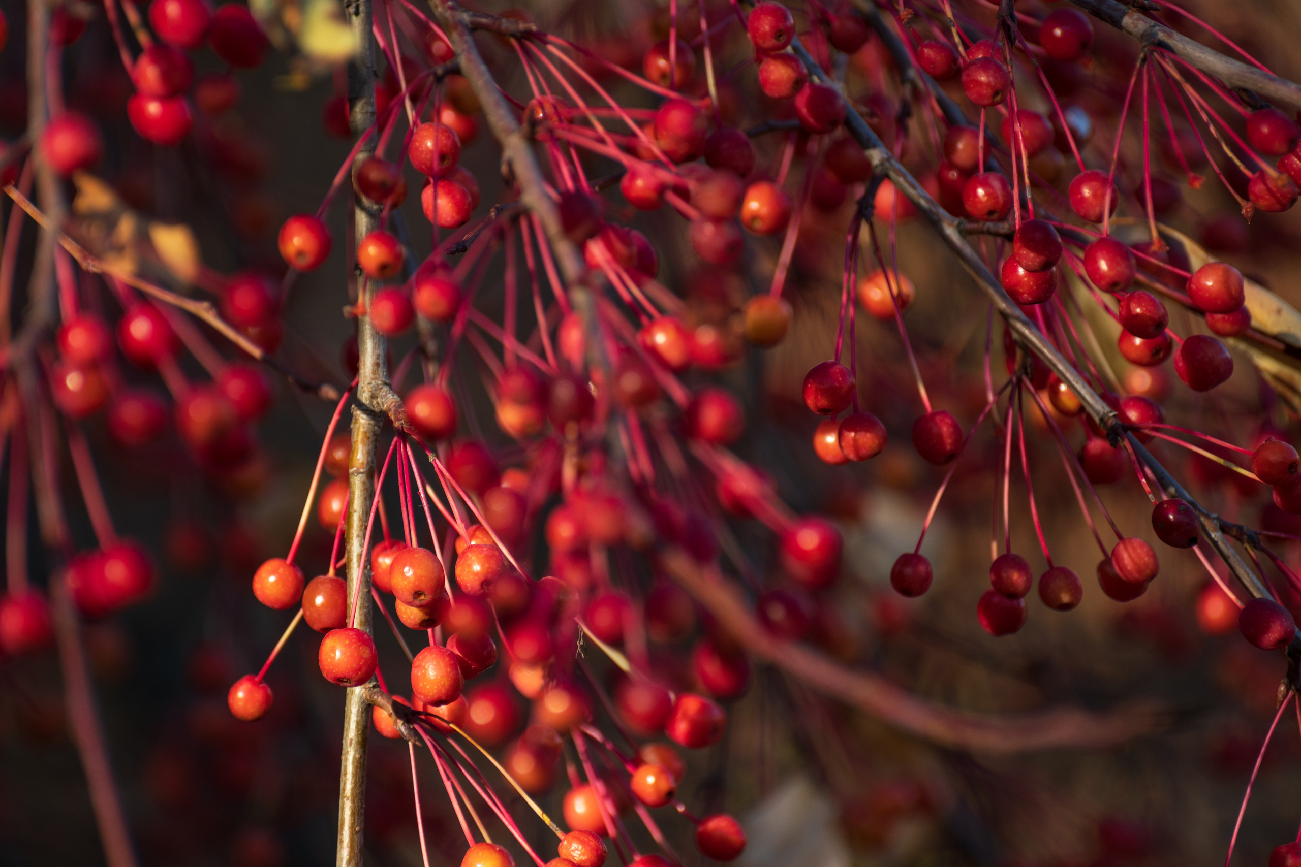 20211010 МГУ. Дмитрий Ремизов. Фотография, как хобби