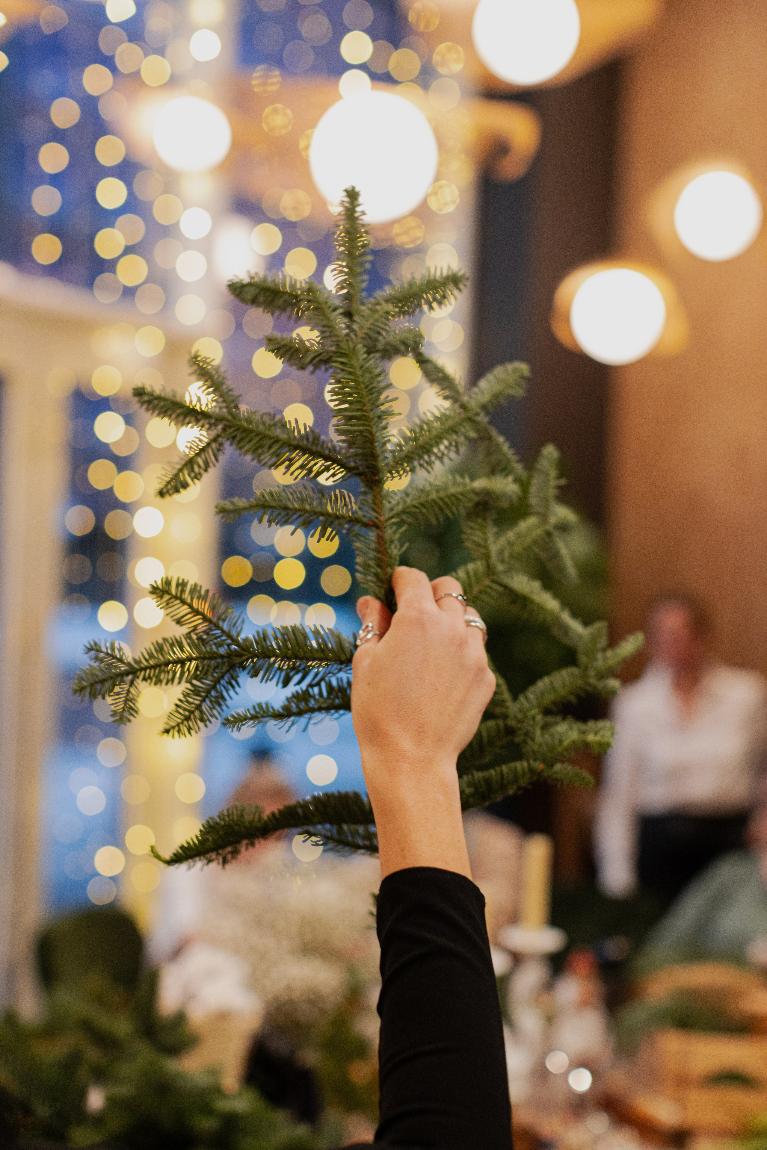 Мк Новогодний Венок. Анастасия Ракчеева Художник