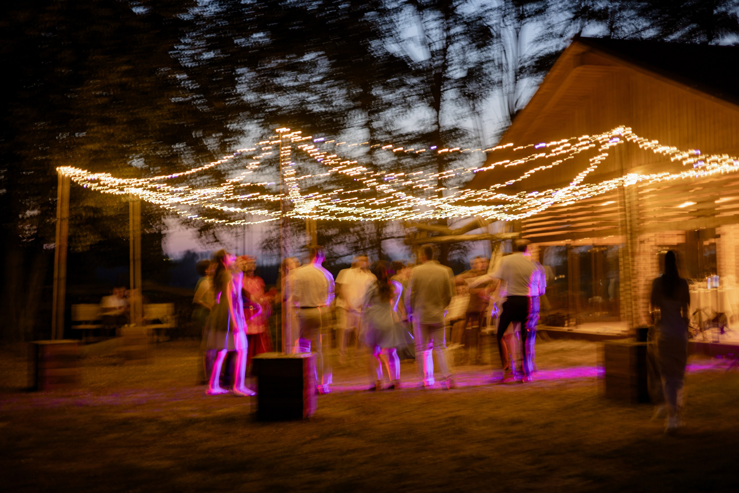 Виноградники. Dima Lemeshevsky