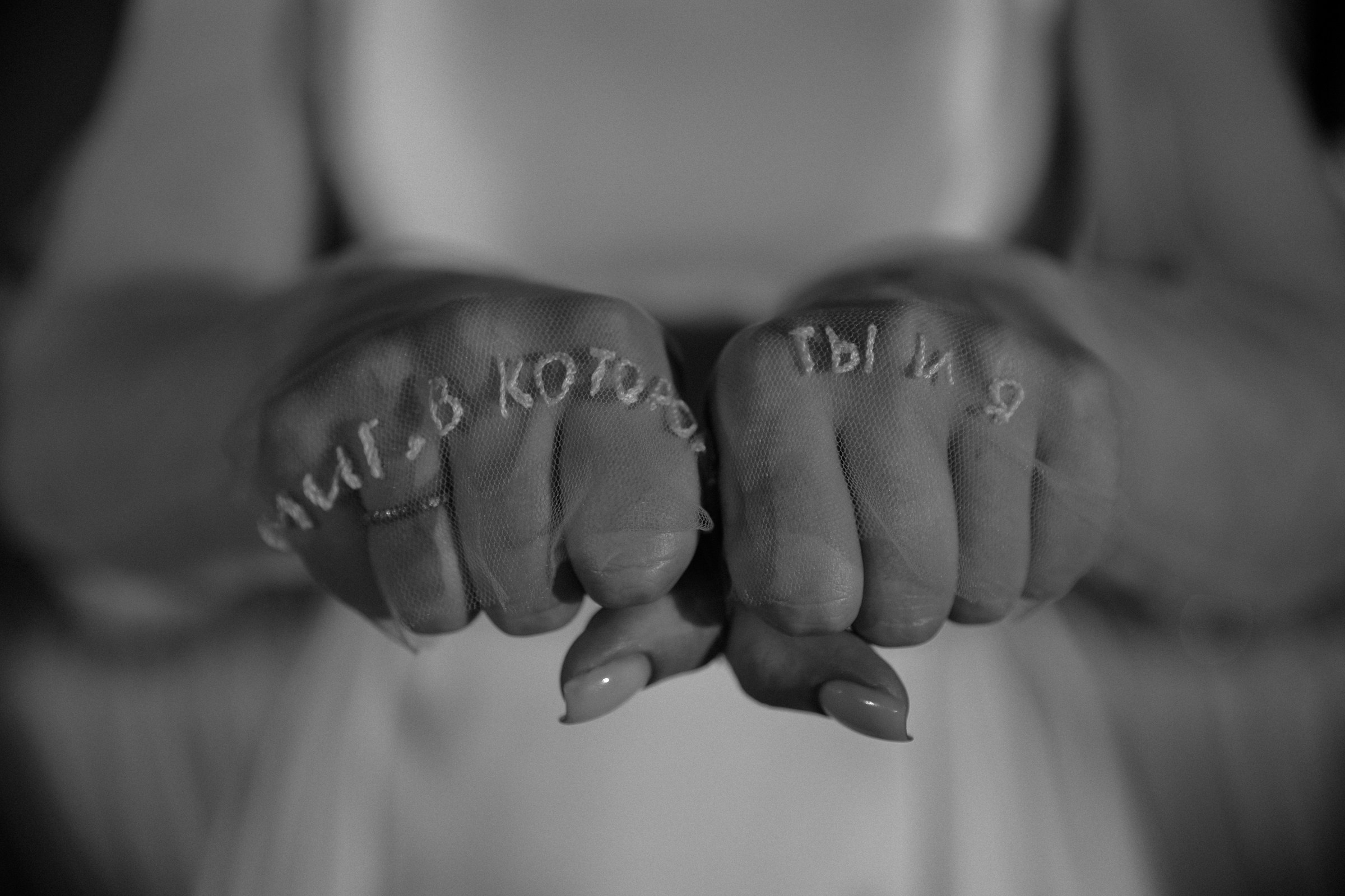 Свадьба пес и котики. Dima Lemeshevsky