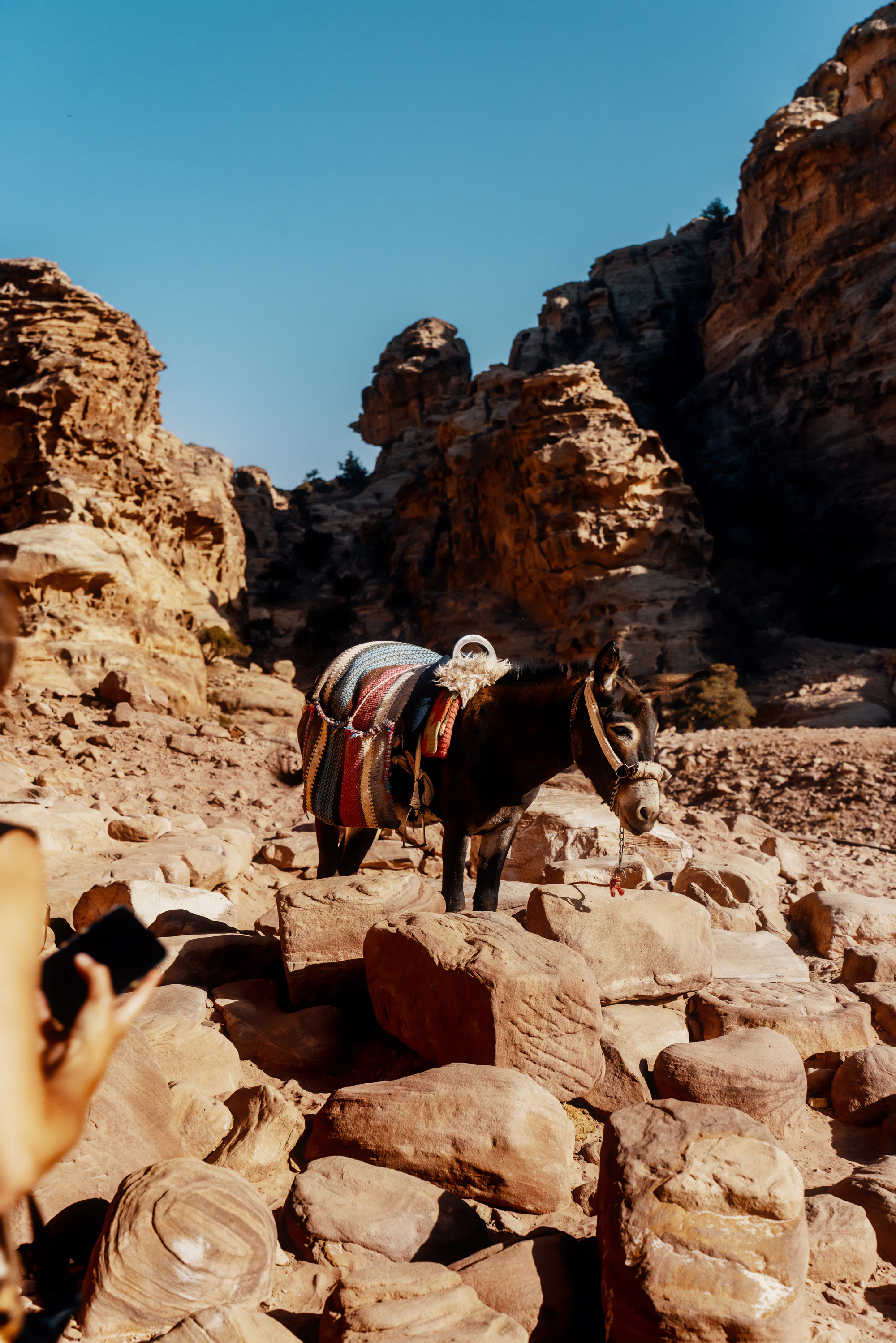 Турция, Греция, Иордания. Фотограф в Хабаровске. Фотография за 24 часа