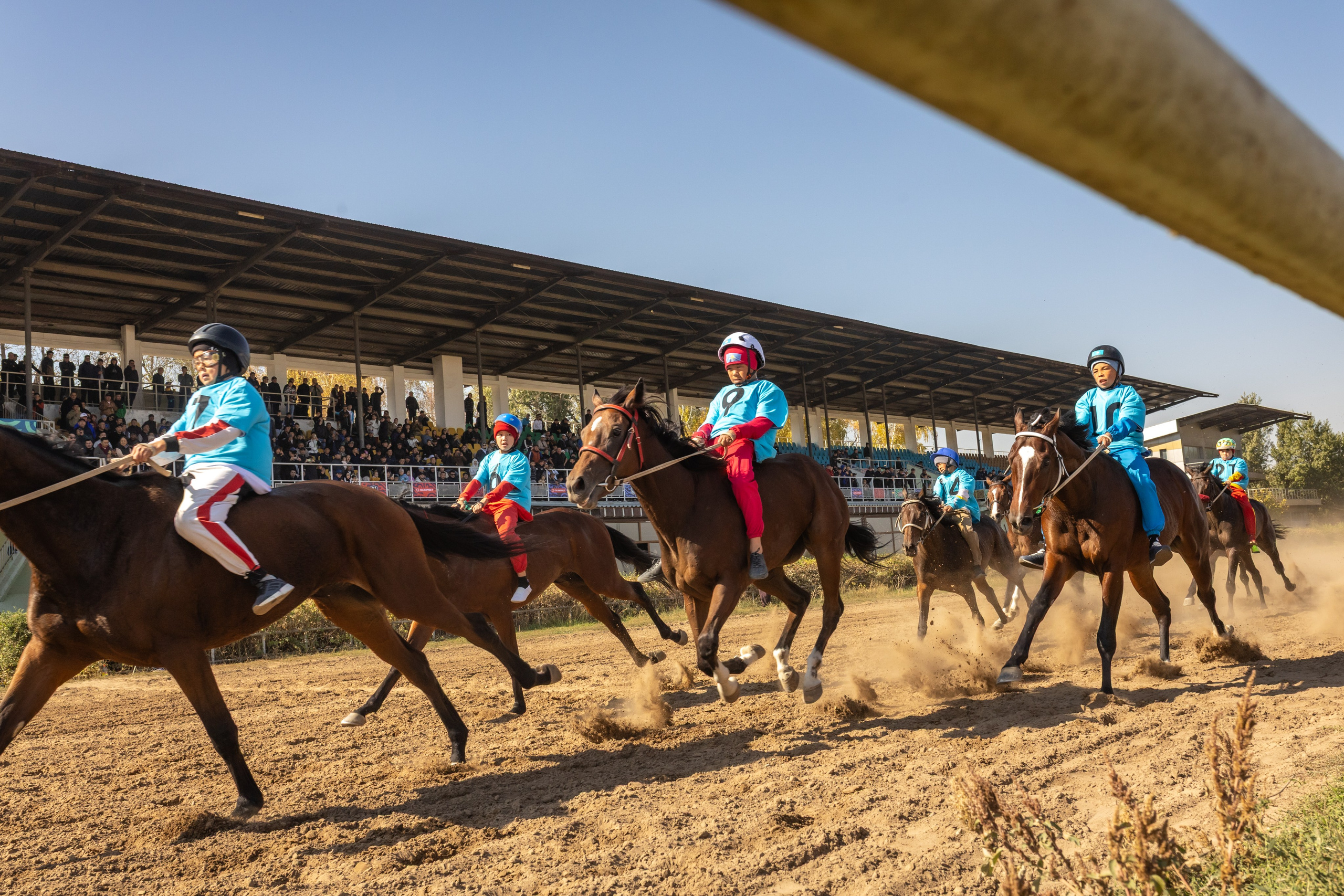Фоторепортаж финал Казахстана по байге 2025 — конные забеги. Коммерческий и репортажный фотограф в Алматы — Jora Abramov