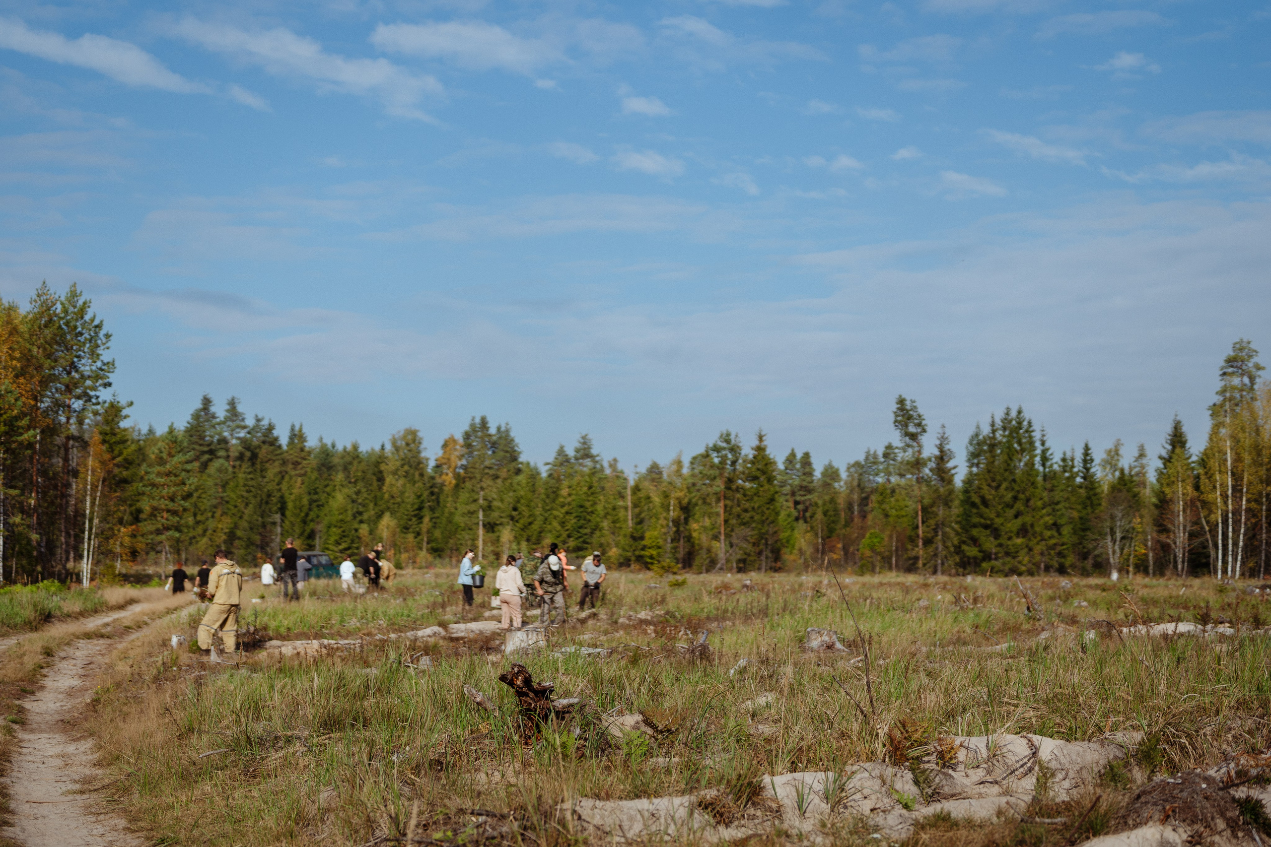СБЕР · ЭКА · Посадка сеянцев. Владимир Вершинин, тот самый свадебный видеограф