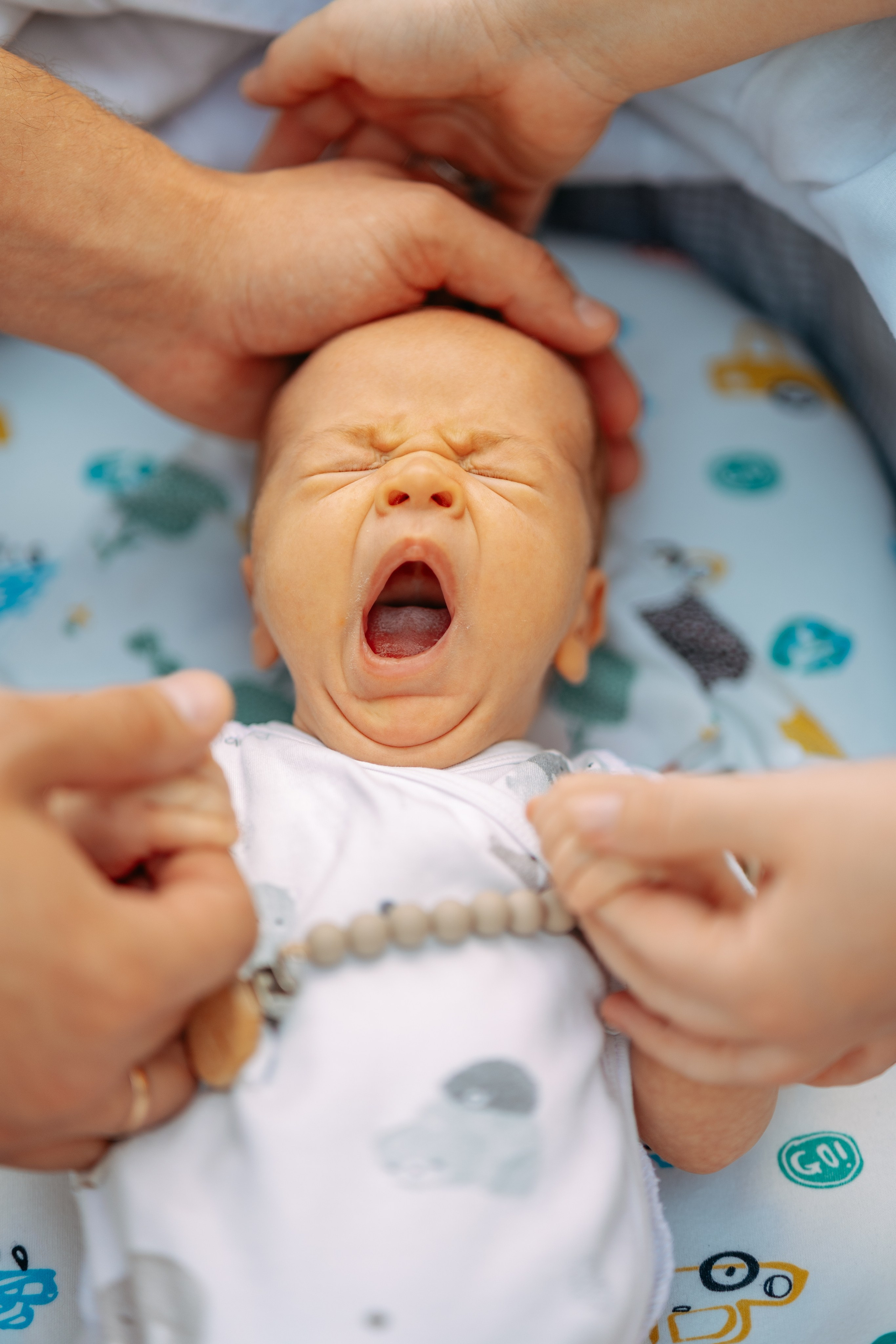 Сад. Фотограф Мария Зайчик