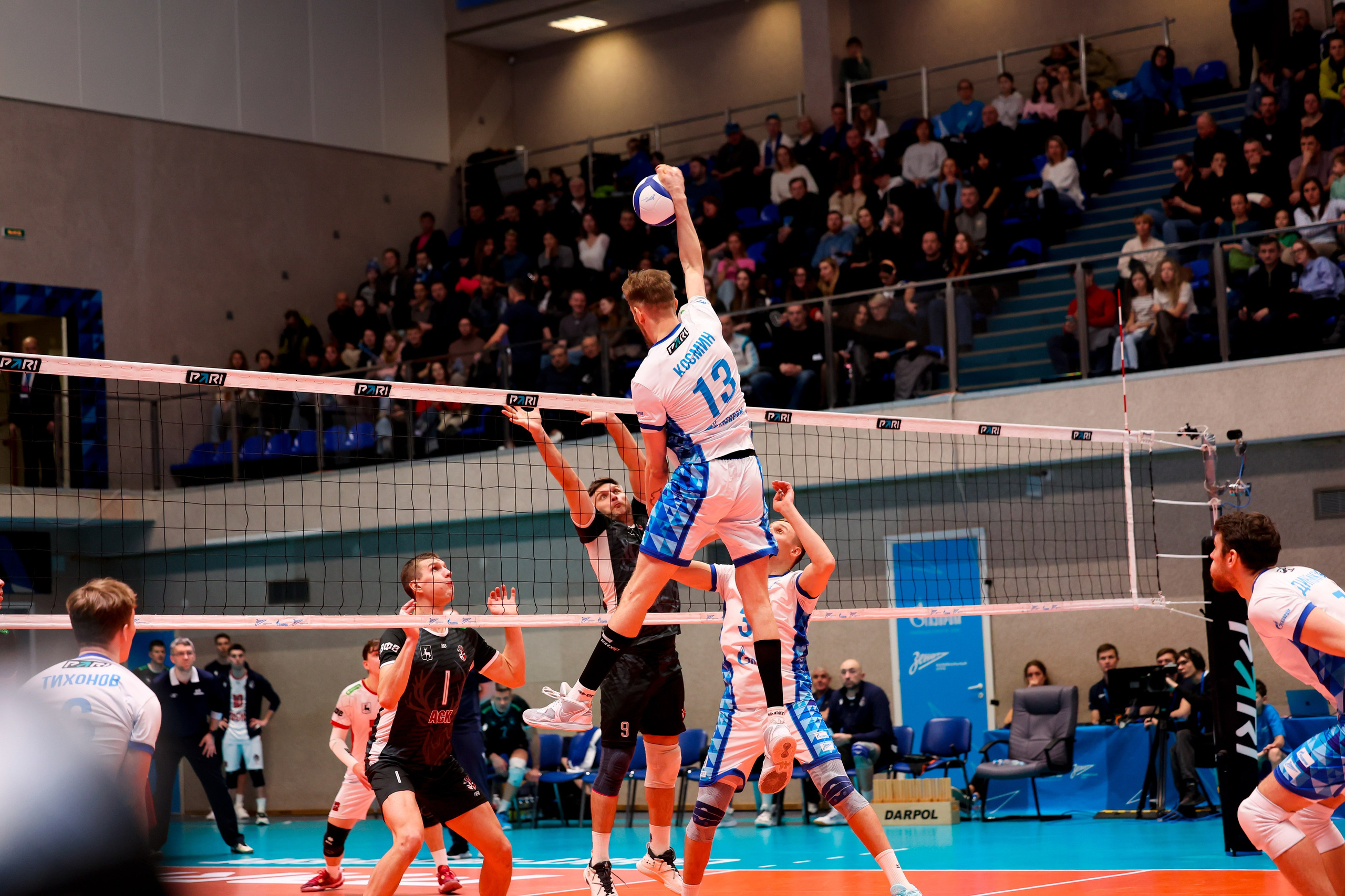 ВК Зенит — ВК АСК 15.03.2025. Спортивный и репортажный фотограф Антон Тереханов