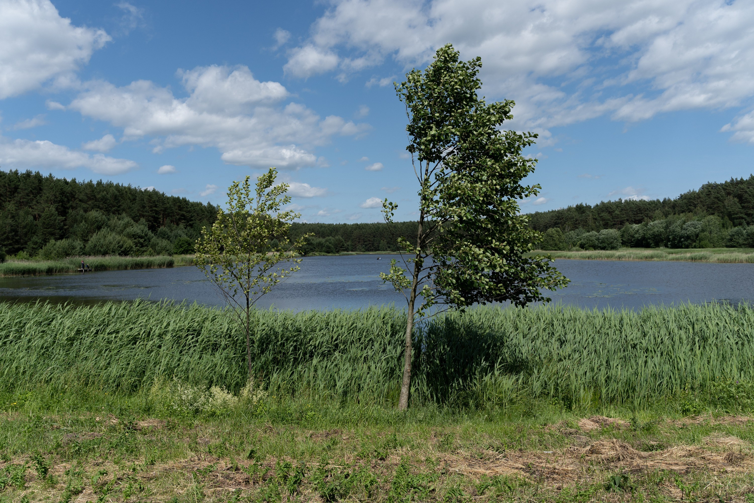 Home.land. Künstler Verstecktoff