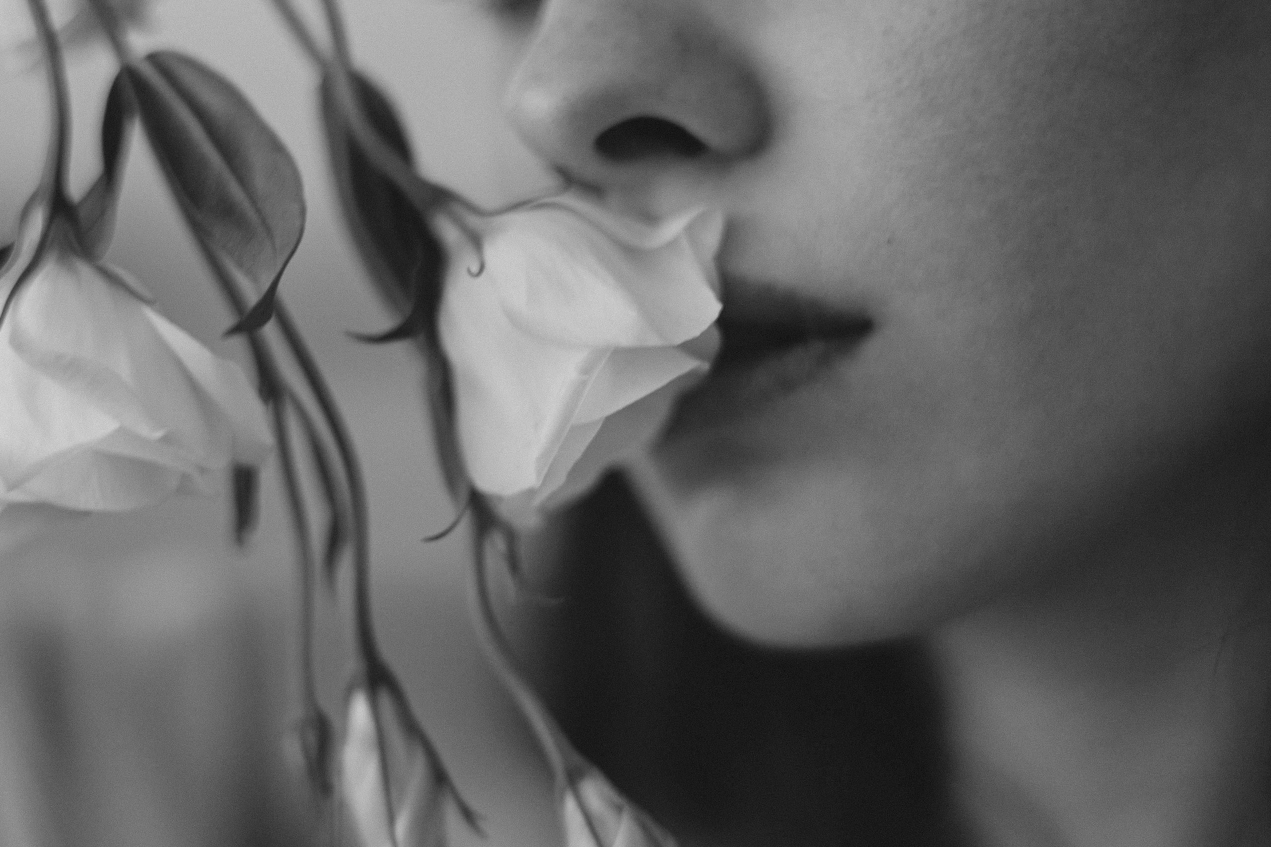 София. Семейный и свадебный фотограф в Краснодаре Елизавета Замаева